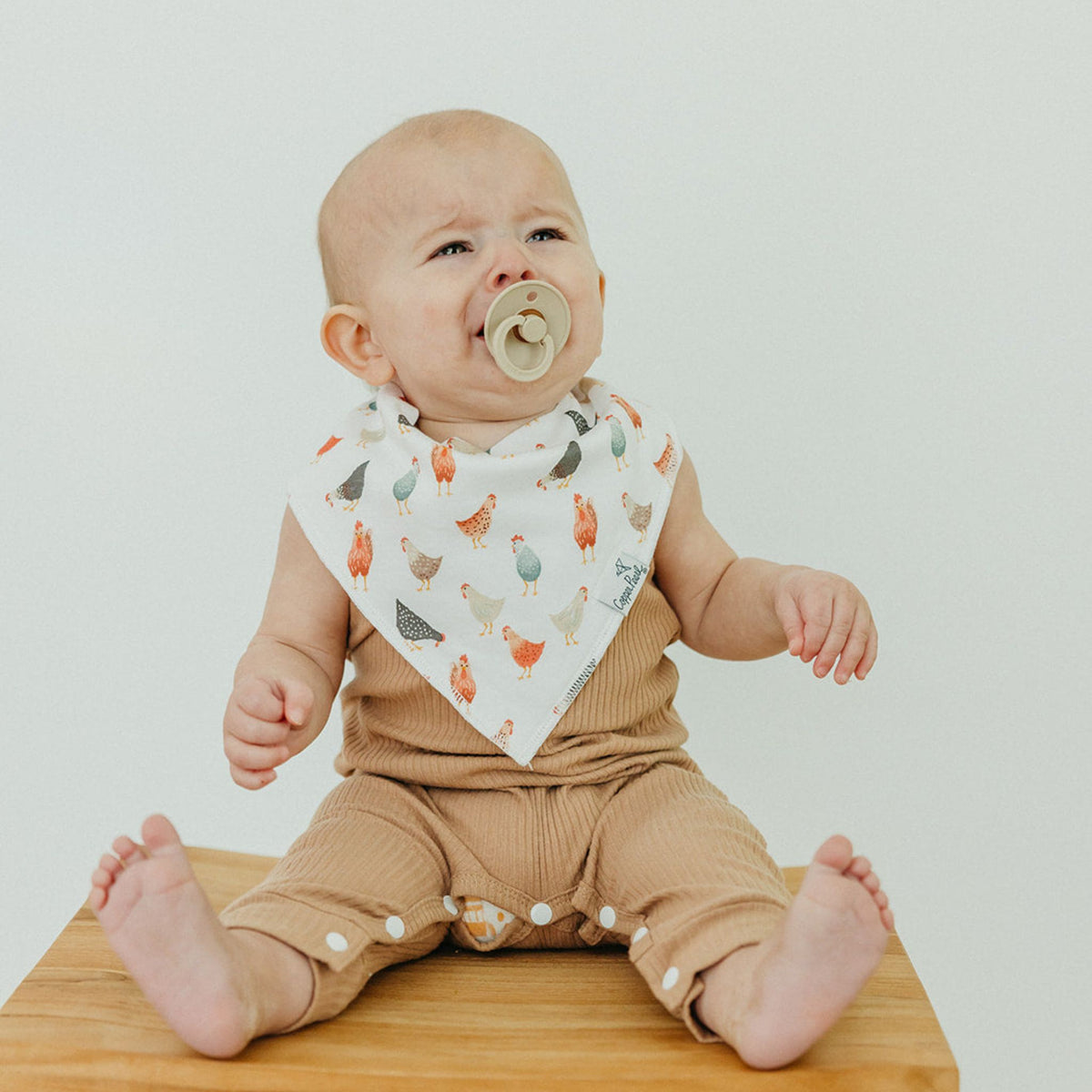 Baby Bandana Bibs - Farmstead