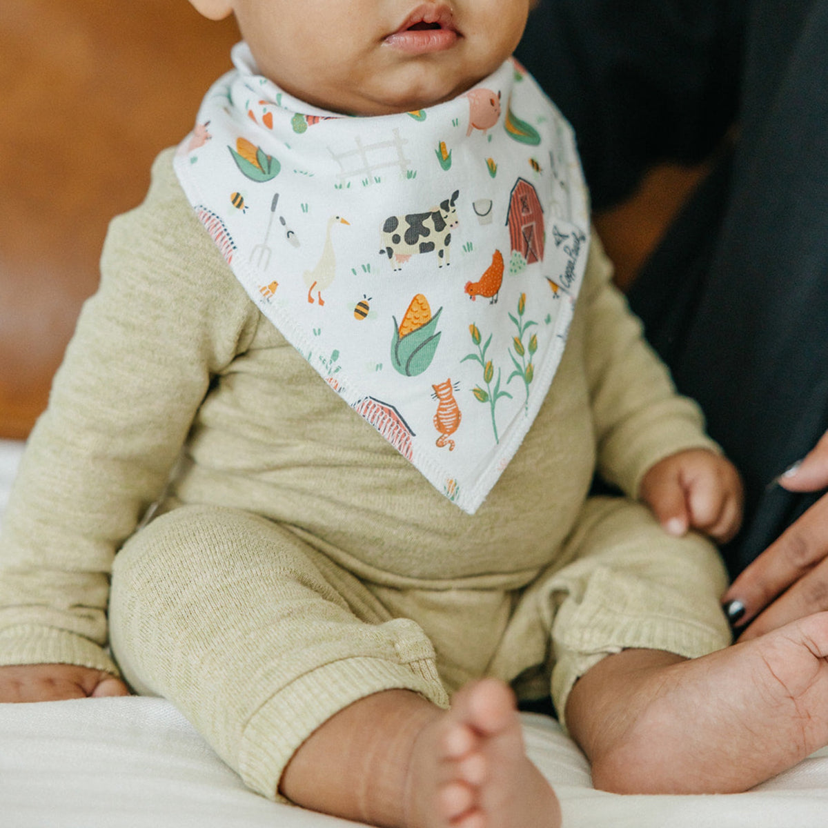 Baby Bandana Bibs - Farmstead