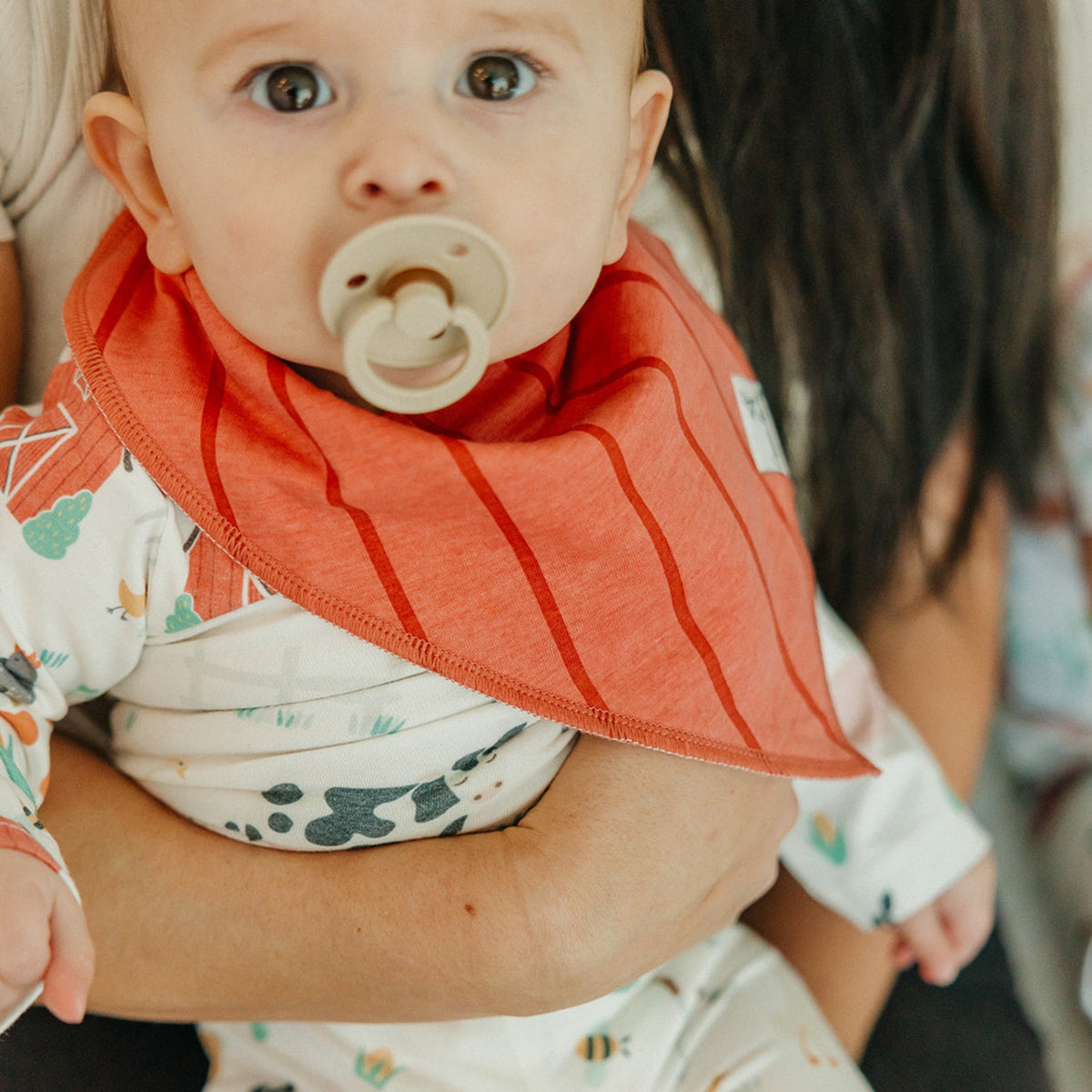 Baby Bandana Bibs - Farmstead