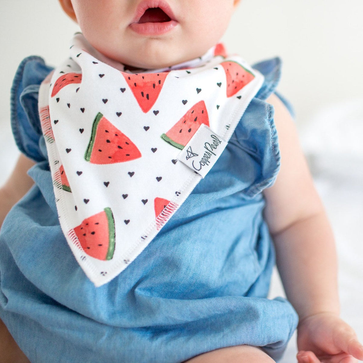 Baby Bandana Bibs - Georgia