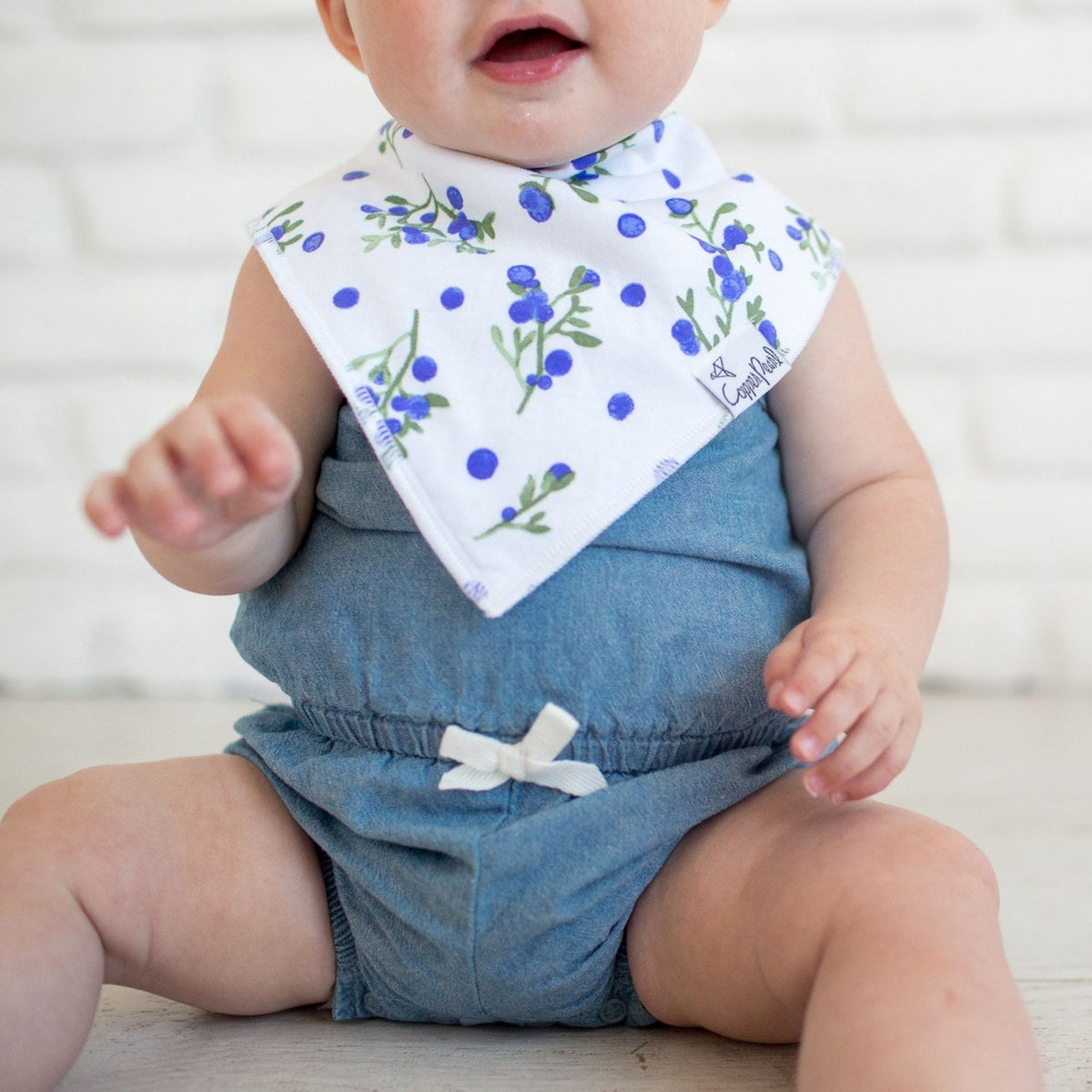 Baby Bandana Bibs - Georgia