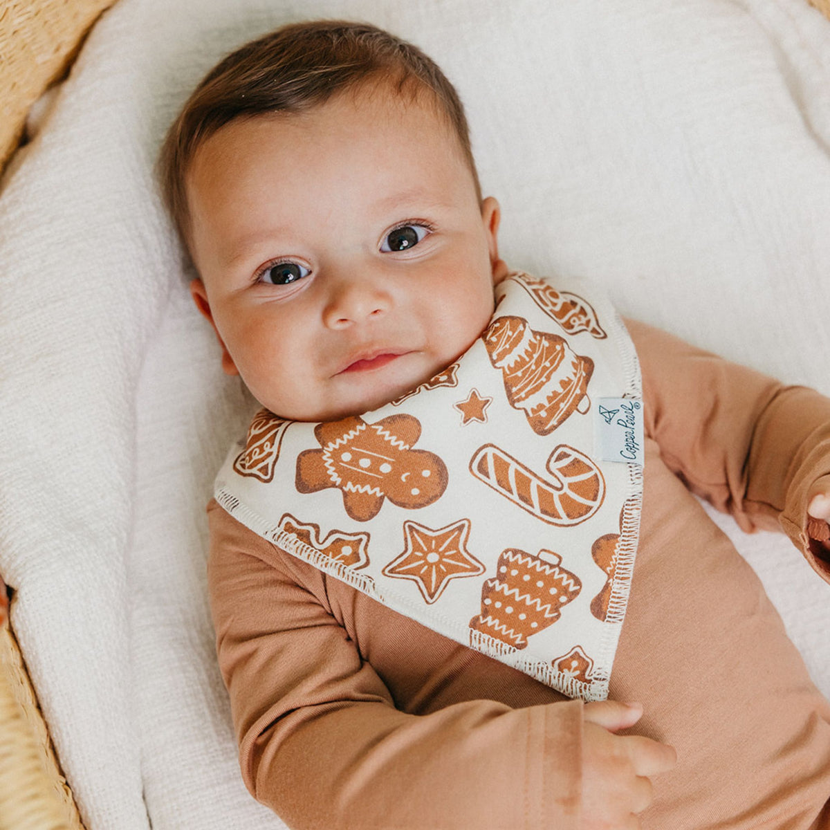 Baby Bandana Bibs - Gingerbread