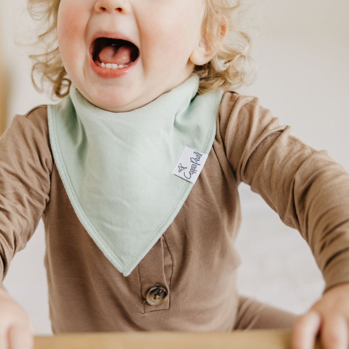 Baby Bandana Bibs - Haven