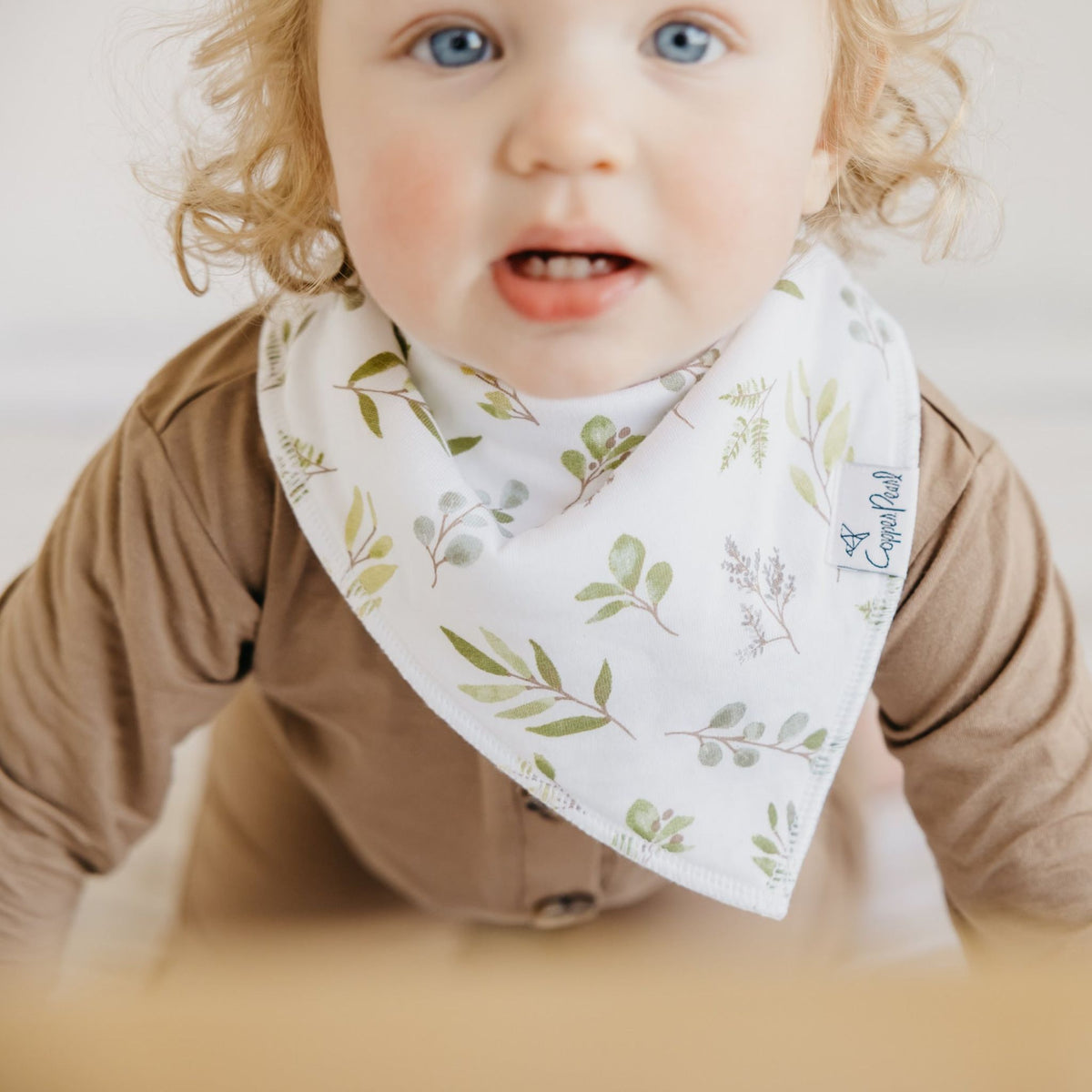 Baby Bandana Bibs - Haven