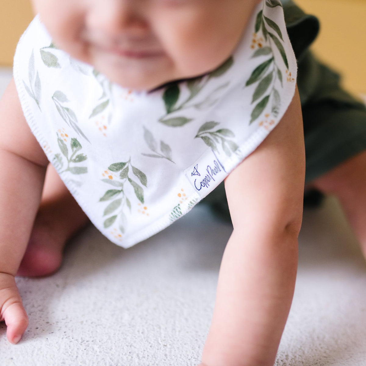 Baby Bandana Bibs - Hope