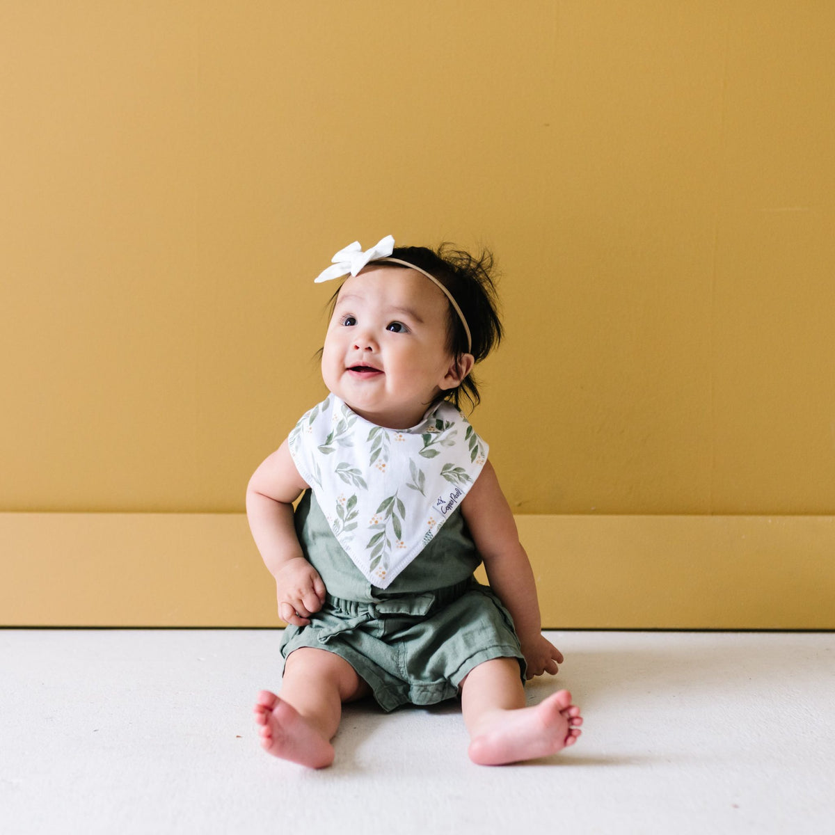 Baby Bandana Bibs - Hope