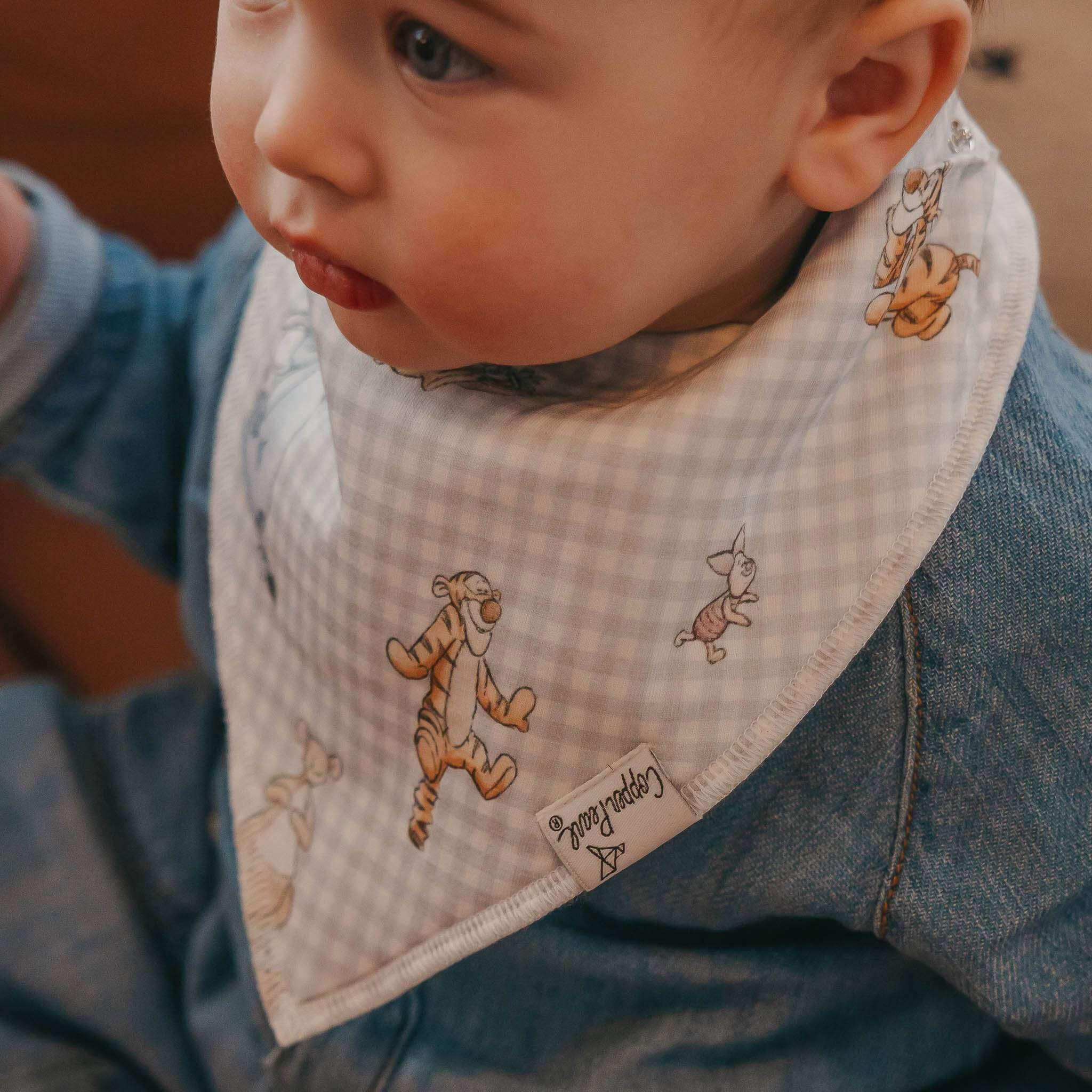 Baby Bandana Bibs - Hundred Acre Wood