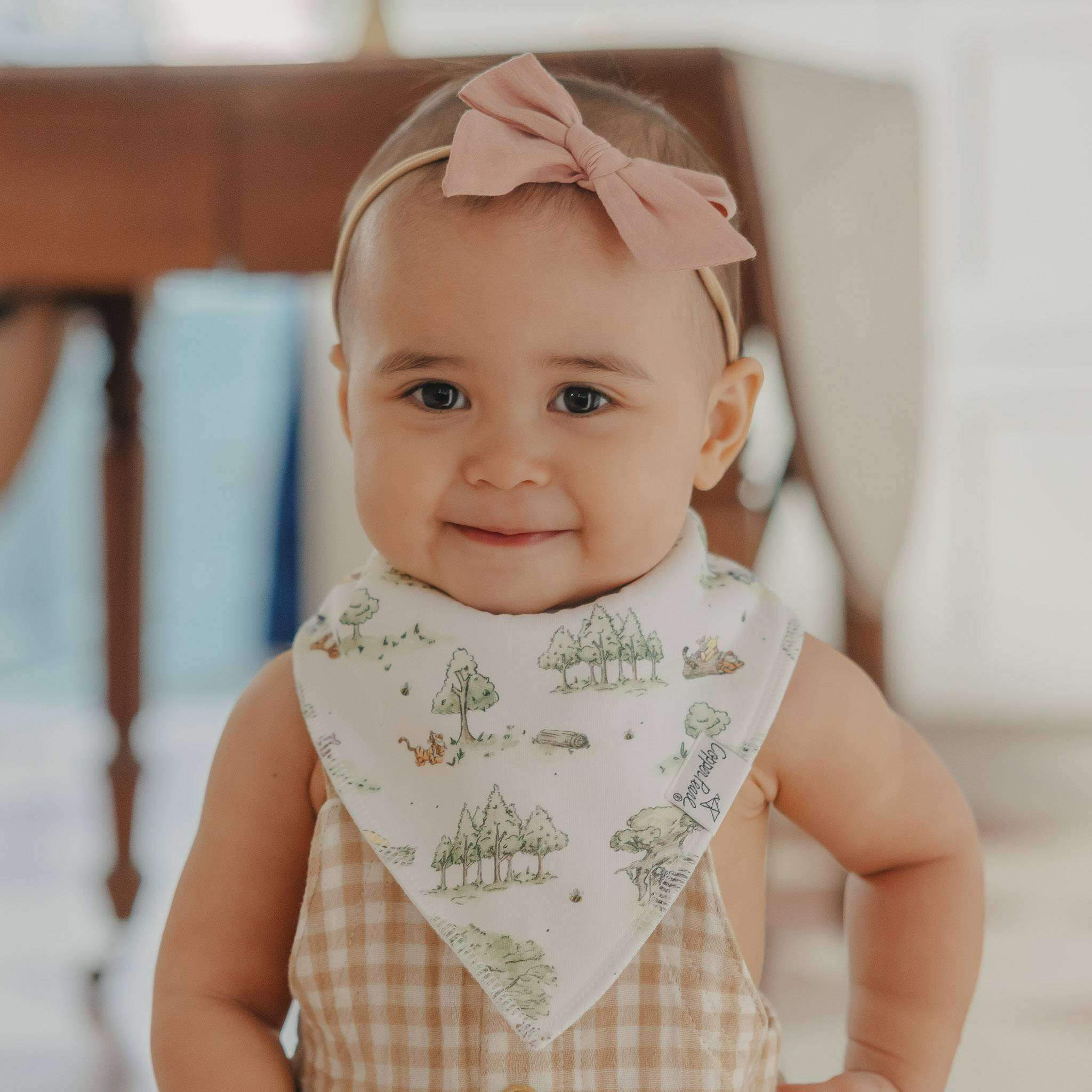 Baby Bandana Bibs - Hundred Acre Wood
