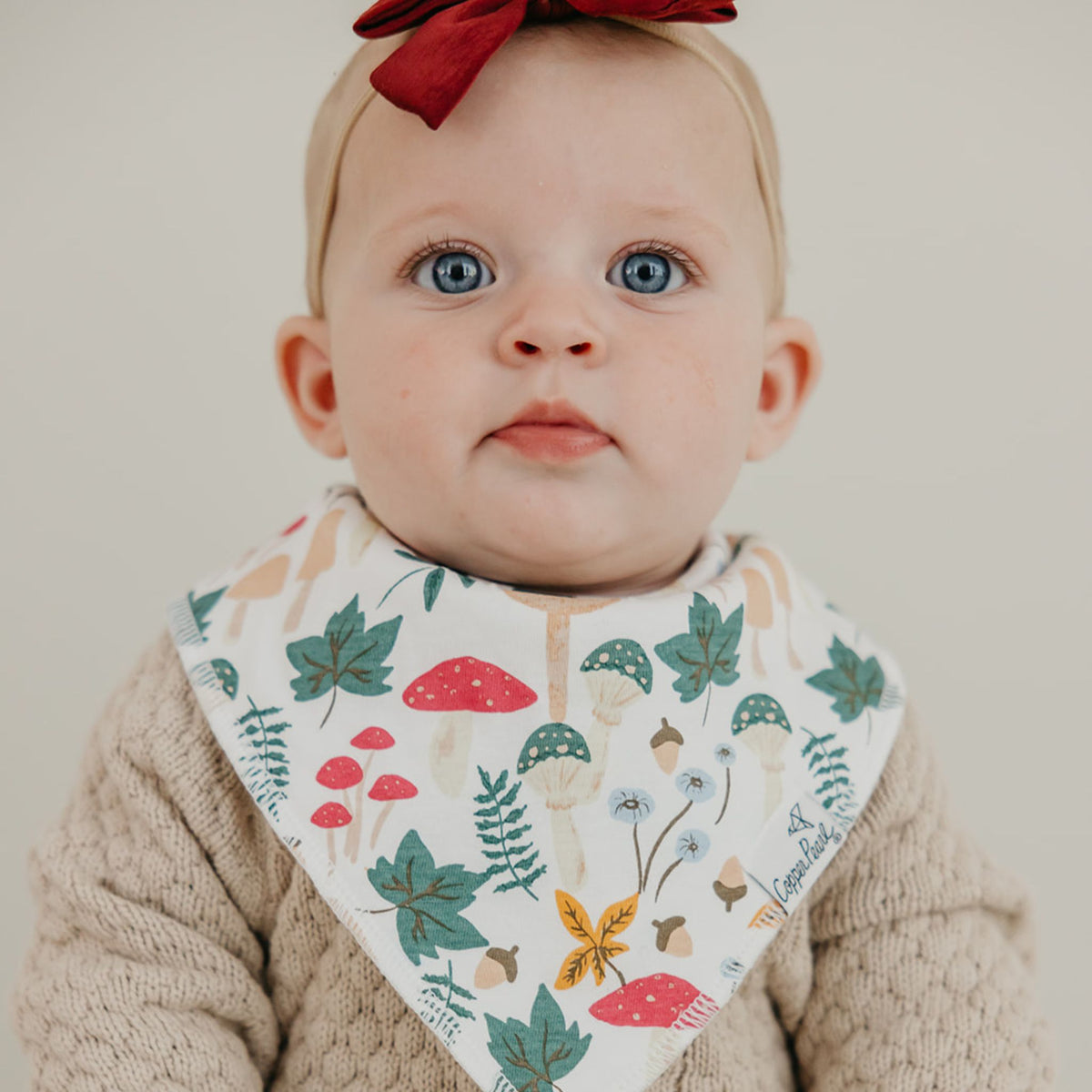 Baby Bandana Bibs - Ivy