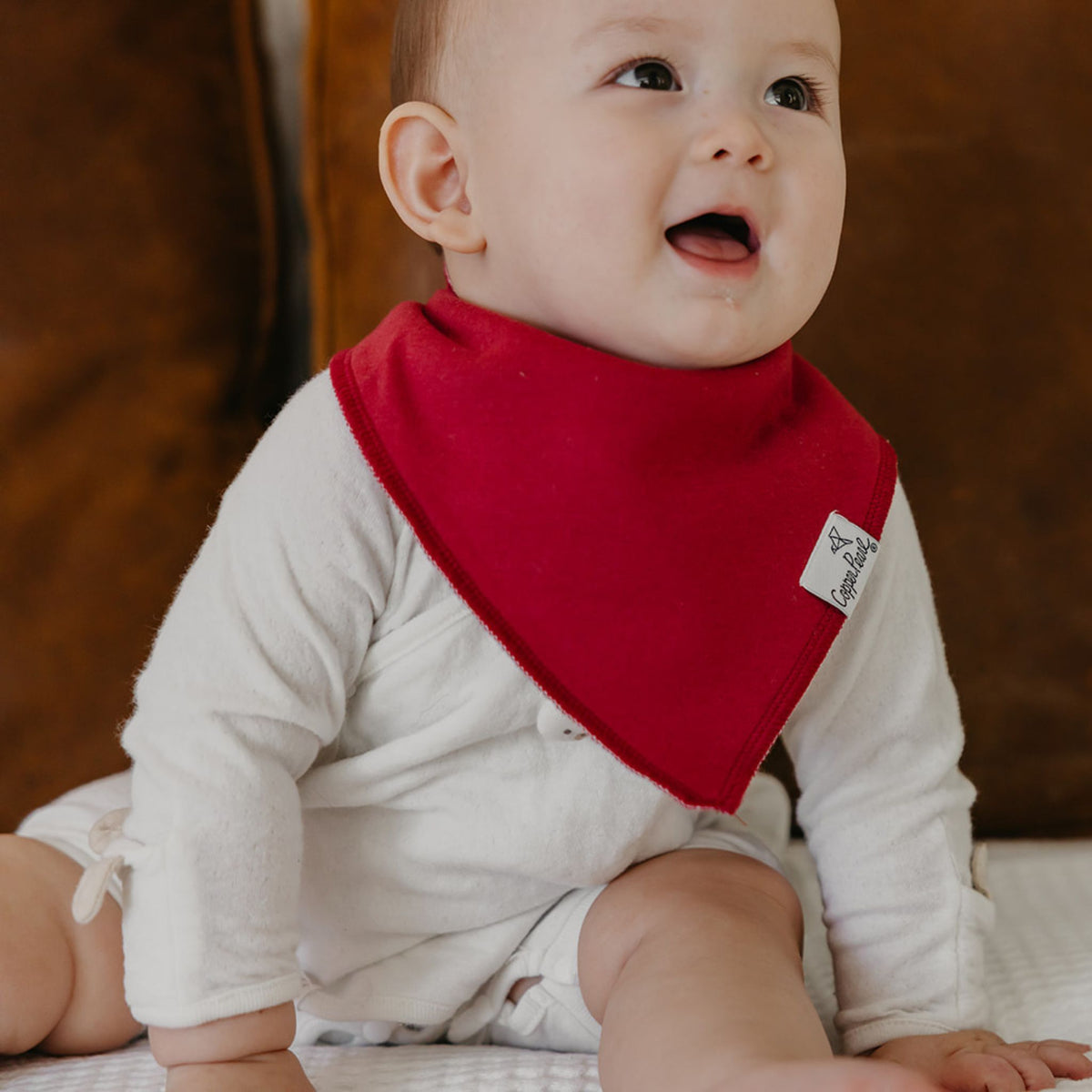 Baby Bandana Bibs - Ivy