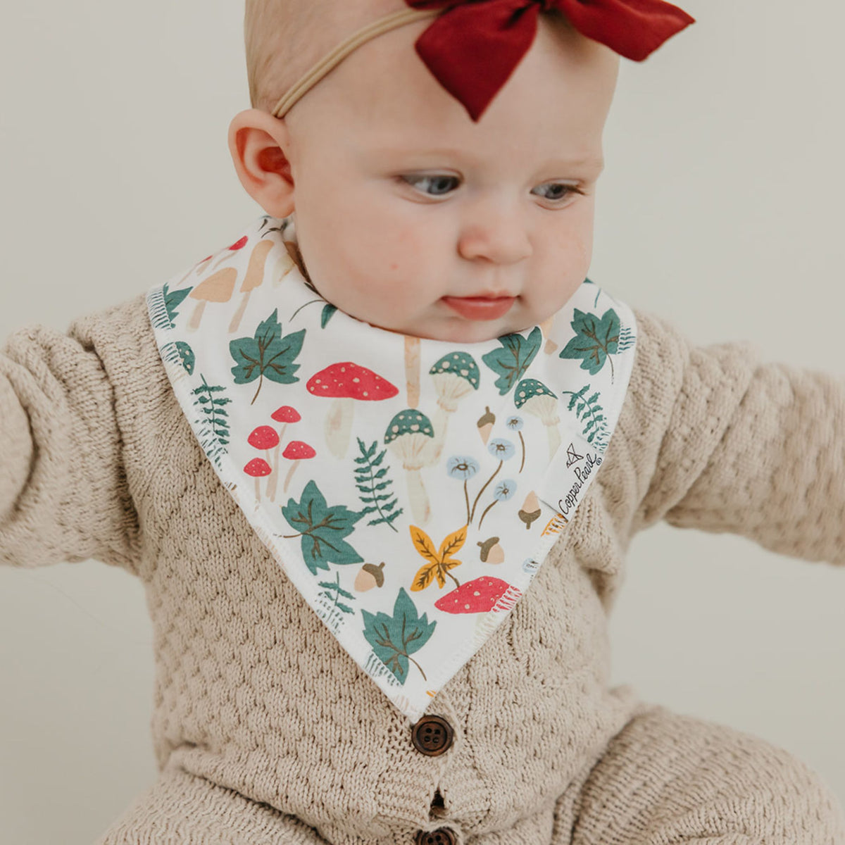 Baby Bandana Bibs - Ivy