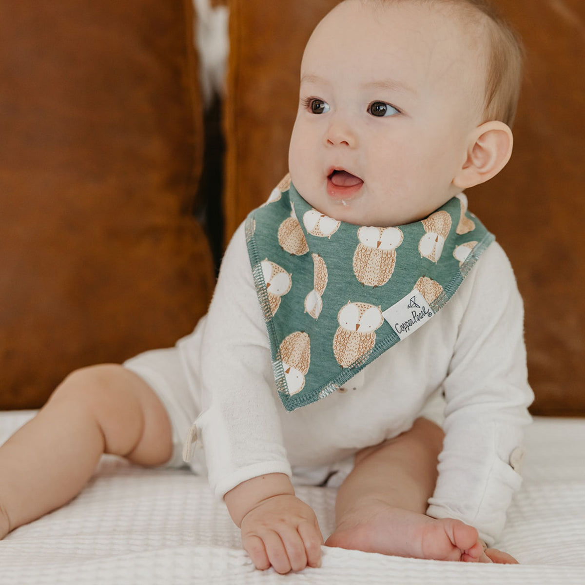 Baby Bandana Bibs - Ivy