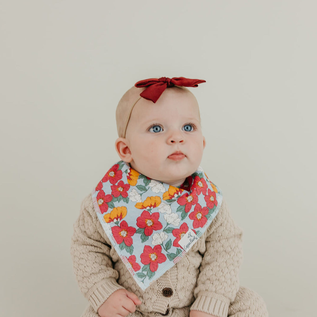 Baby Bandana Bibs - Ivy