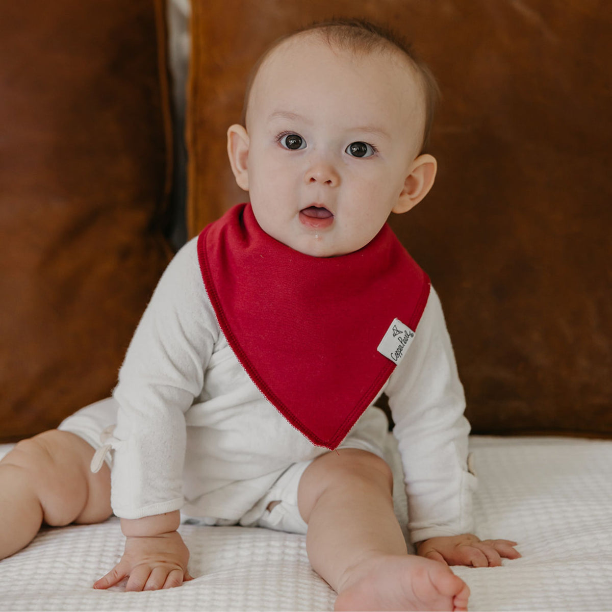 Baby Bandana Bibs - Ivy