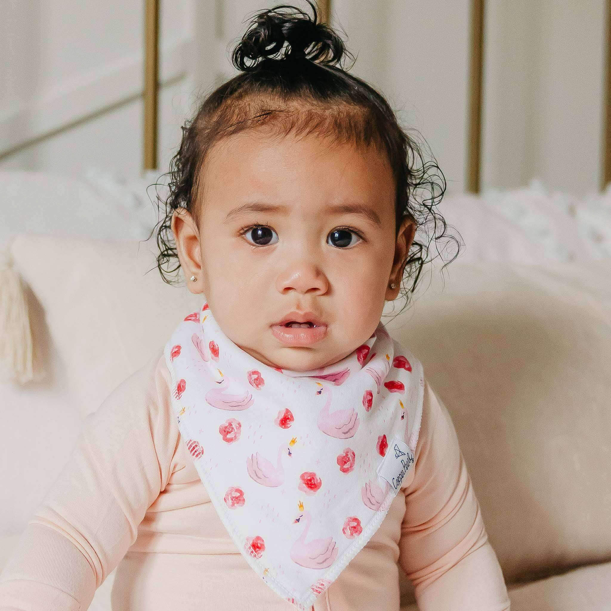 Baby Bandana Bibs - June