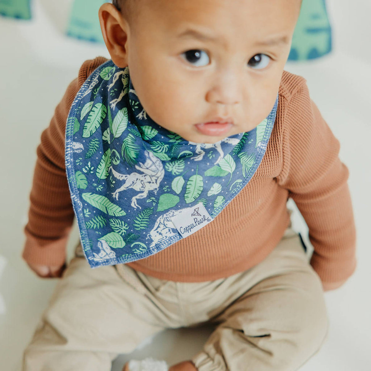 Baby Bandana Bibs - Jurassic Park