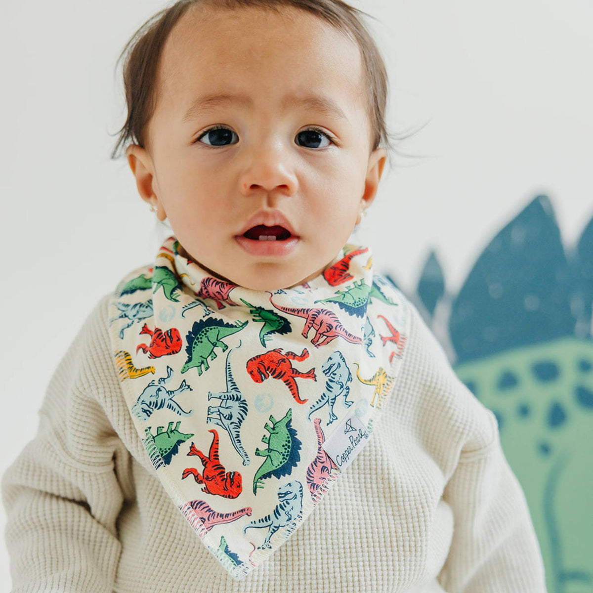 Baby Bandana Bibs - Jurassic Park