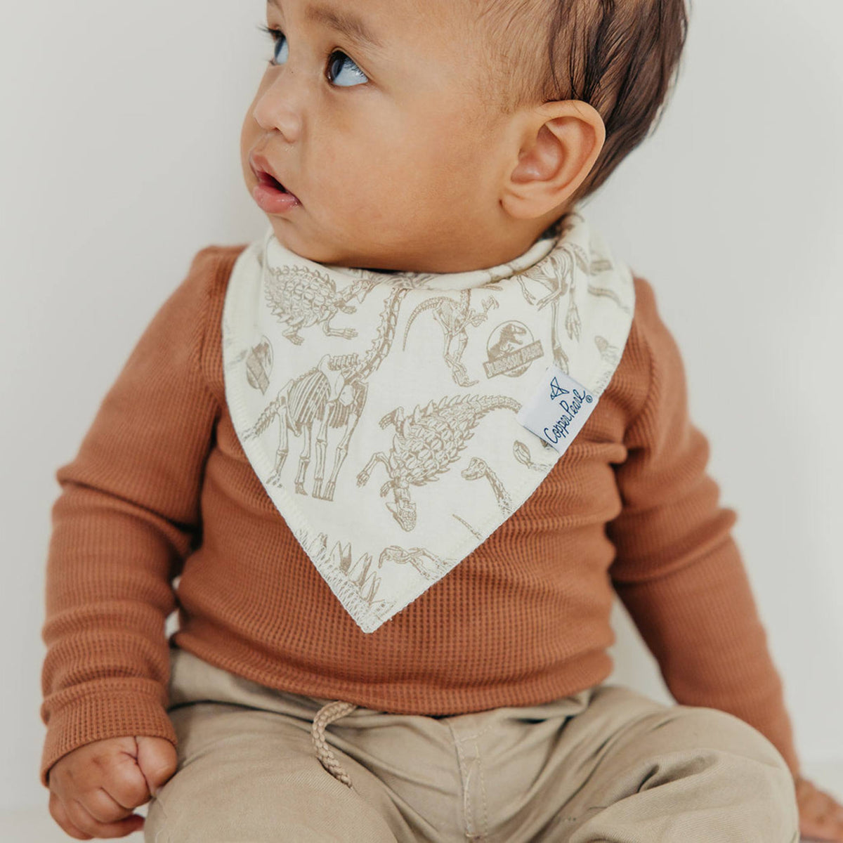 Baby Bandana Bibs - Jurassic Park