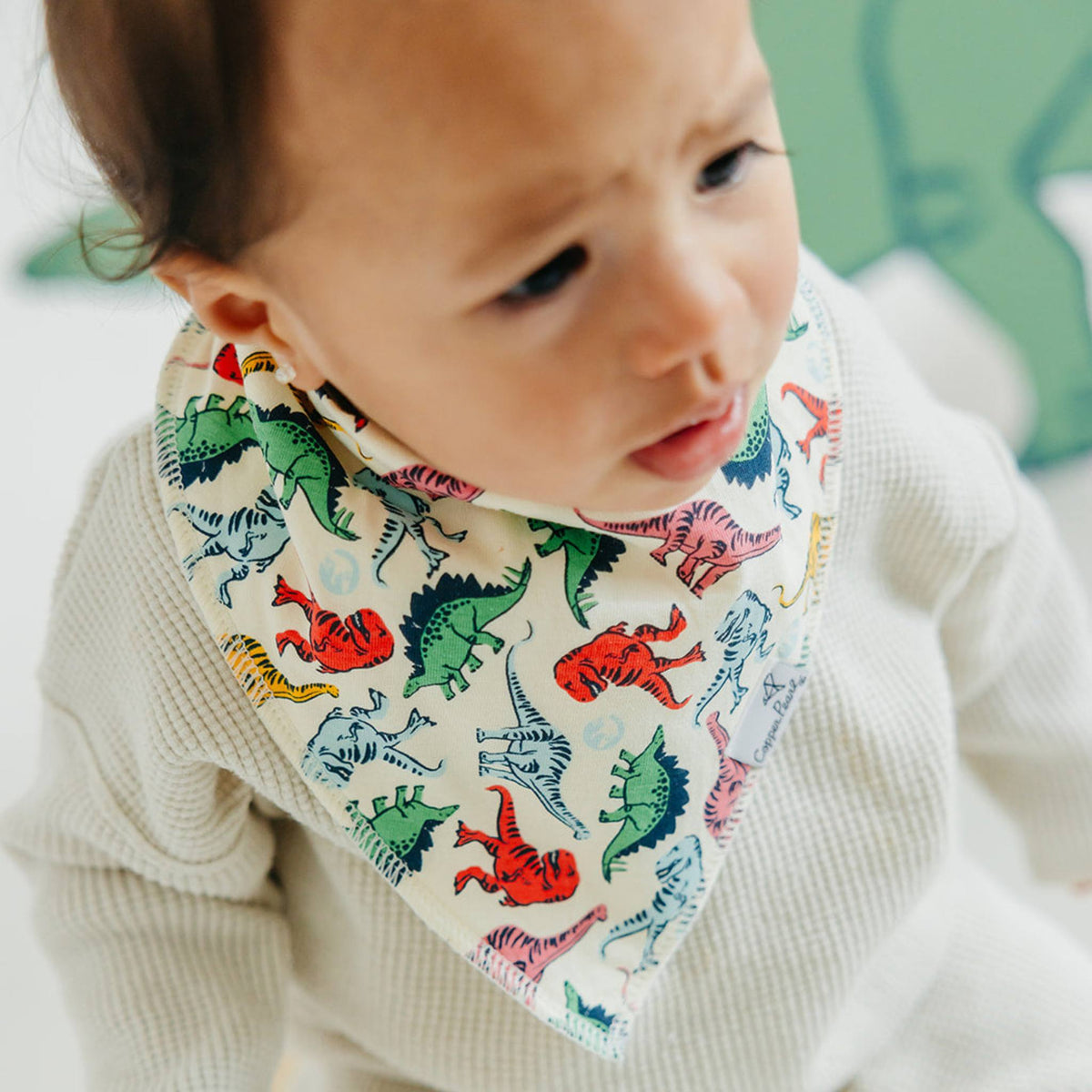 Baby Bandana Bibs - Jurassic Park