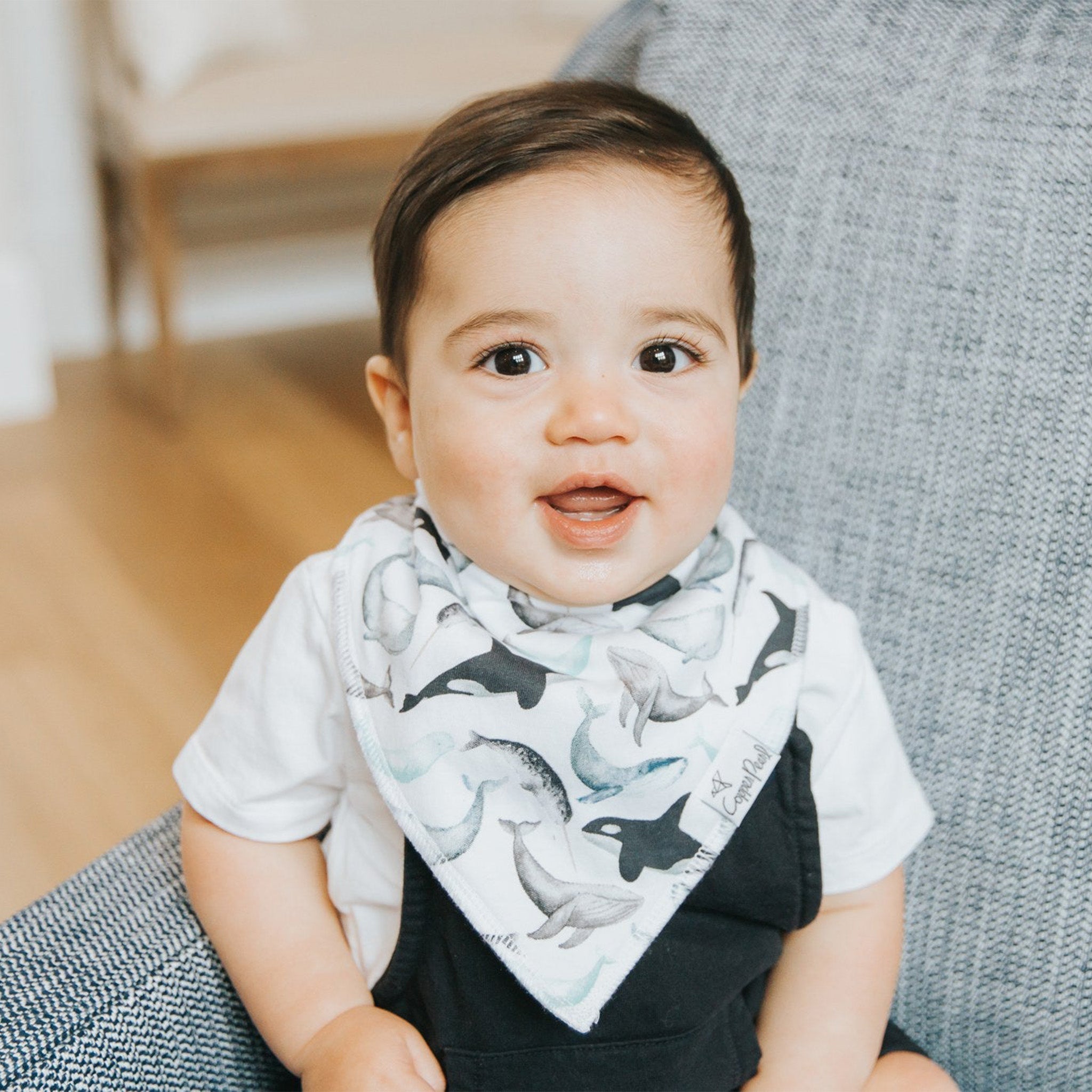 Baby Bandana Bibs - Kai