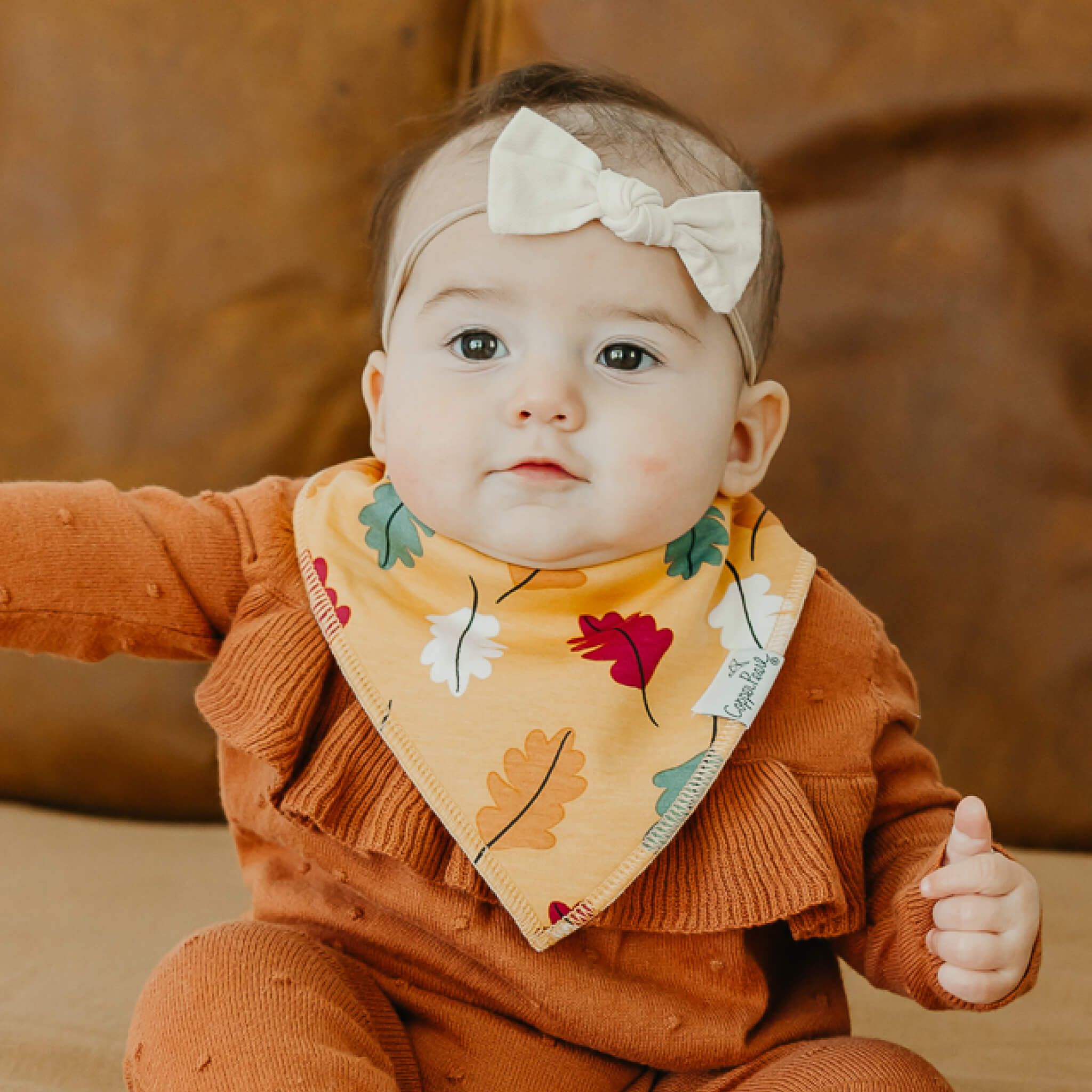Baby Bandana Bibs - Karver