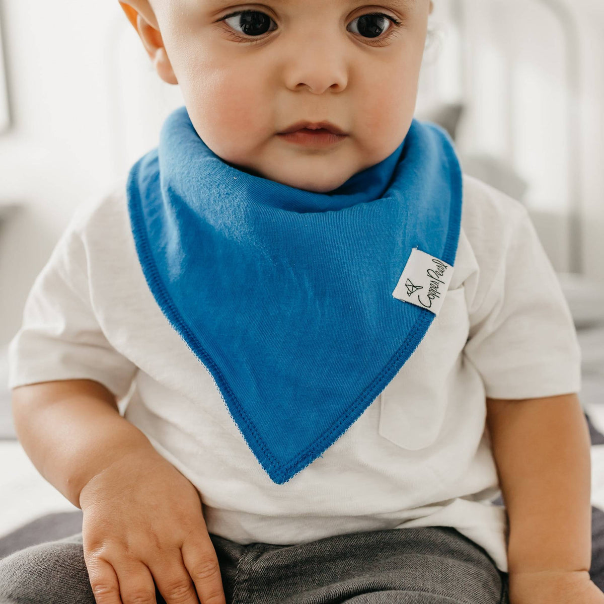 Baby Bandana Bibs - Nash