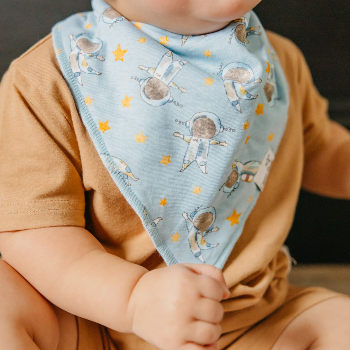 Baby Bandana Bibs - Neil