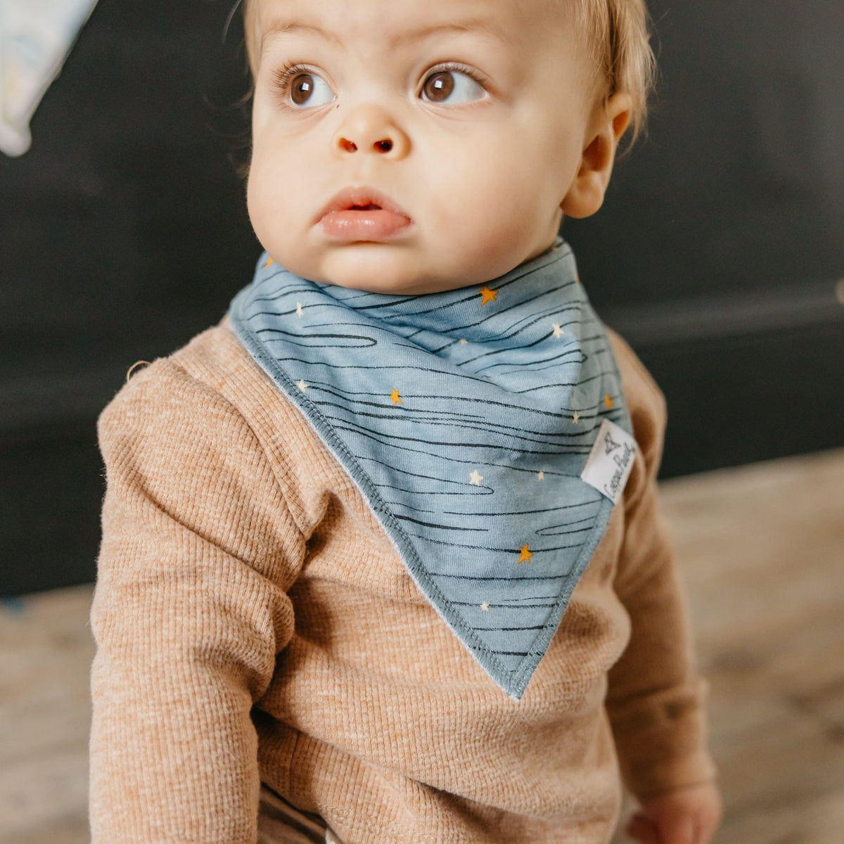 Baby Bandana Bibs - Neil