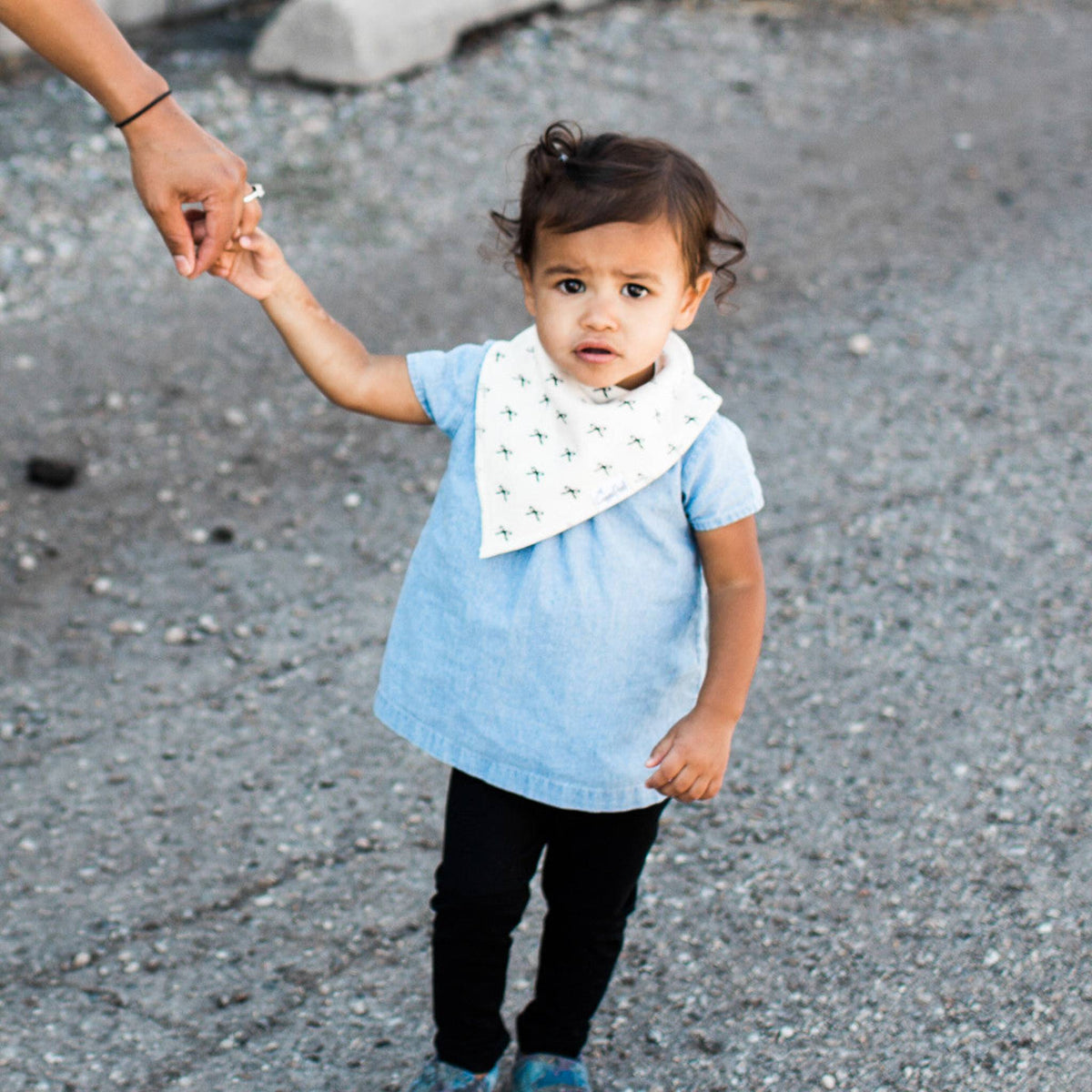 Baby Bandana Bibs - Paris