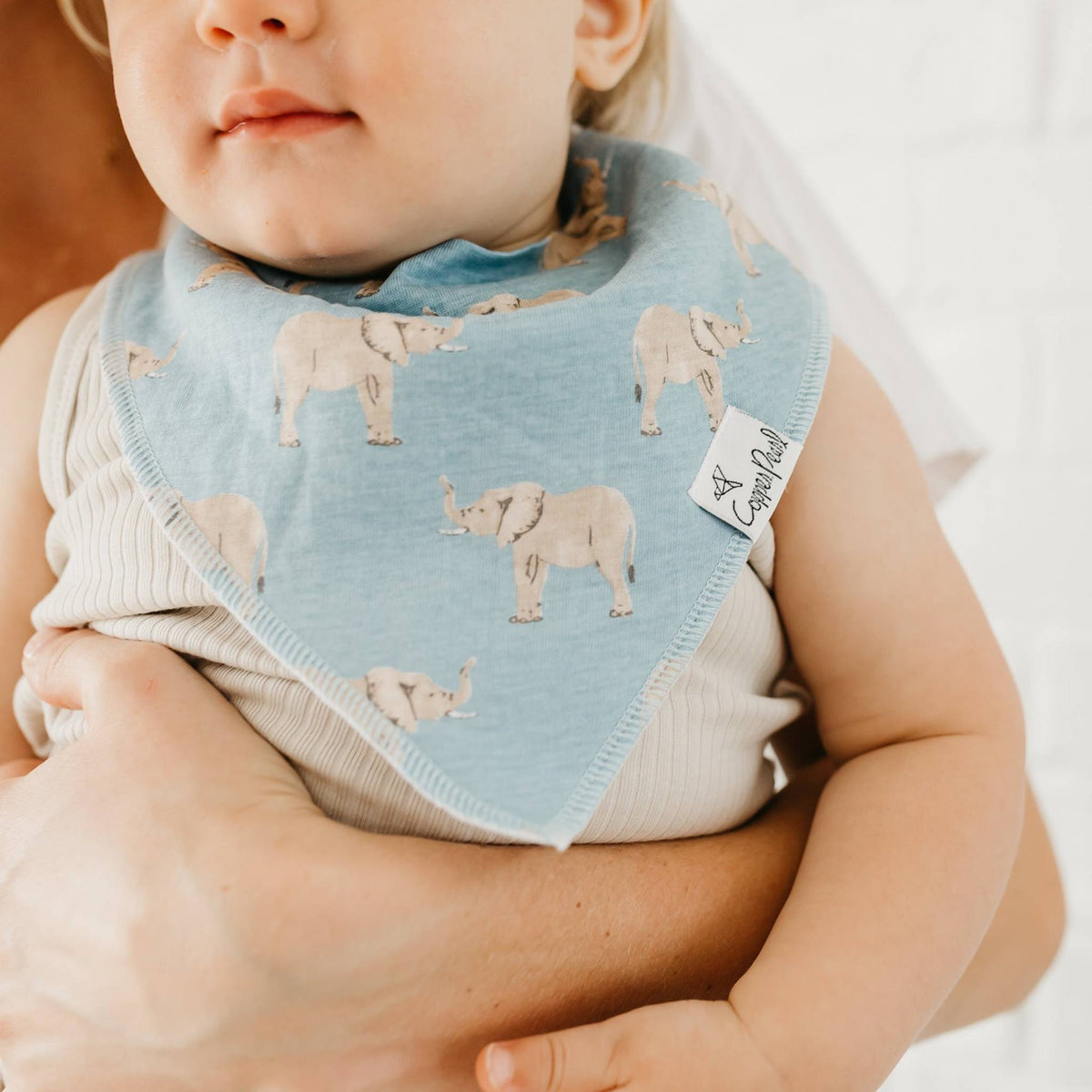 Baby Bandana Bibs - Peanut