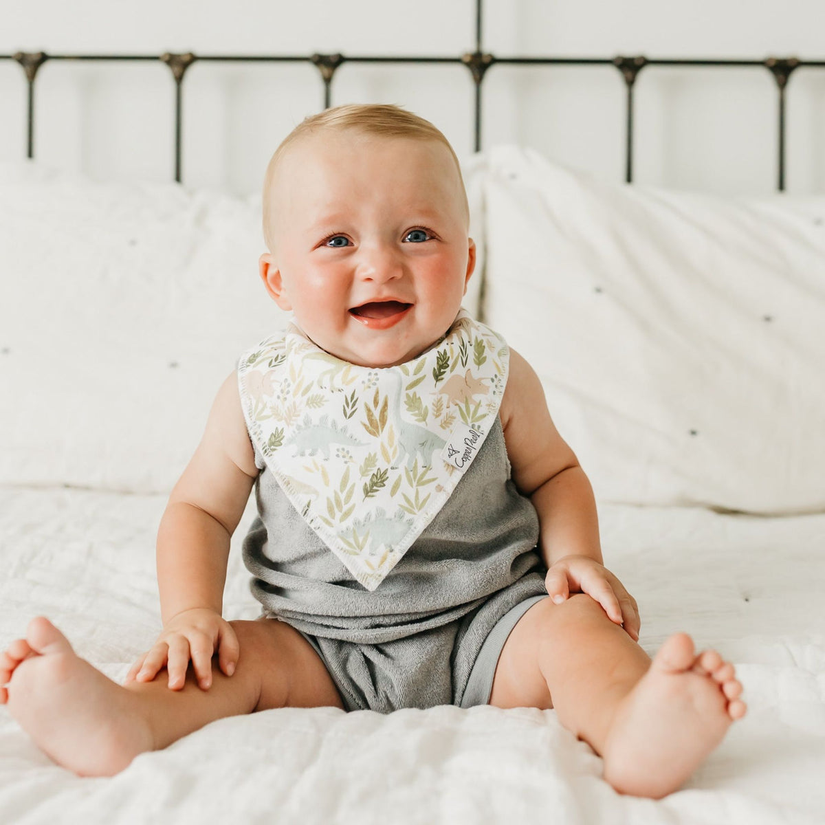 Baby Bandana Bibs - Rex