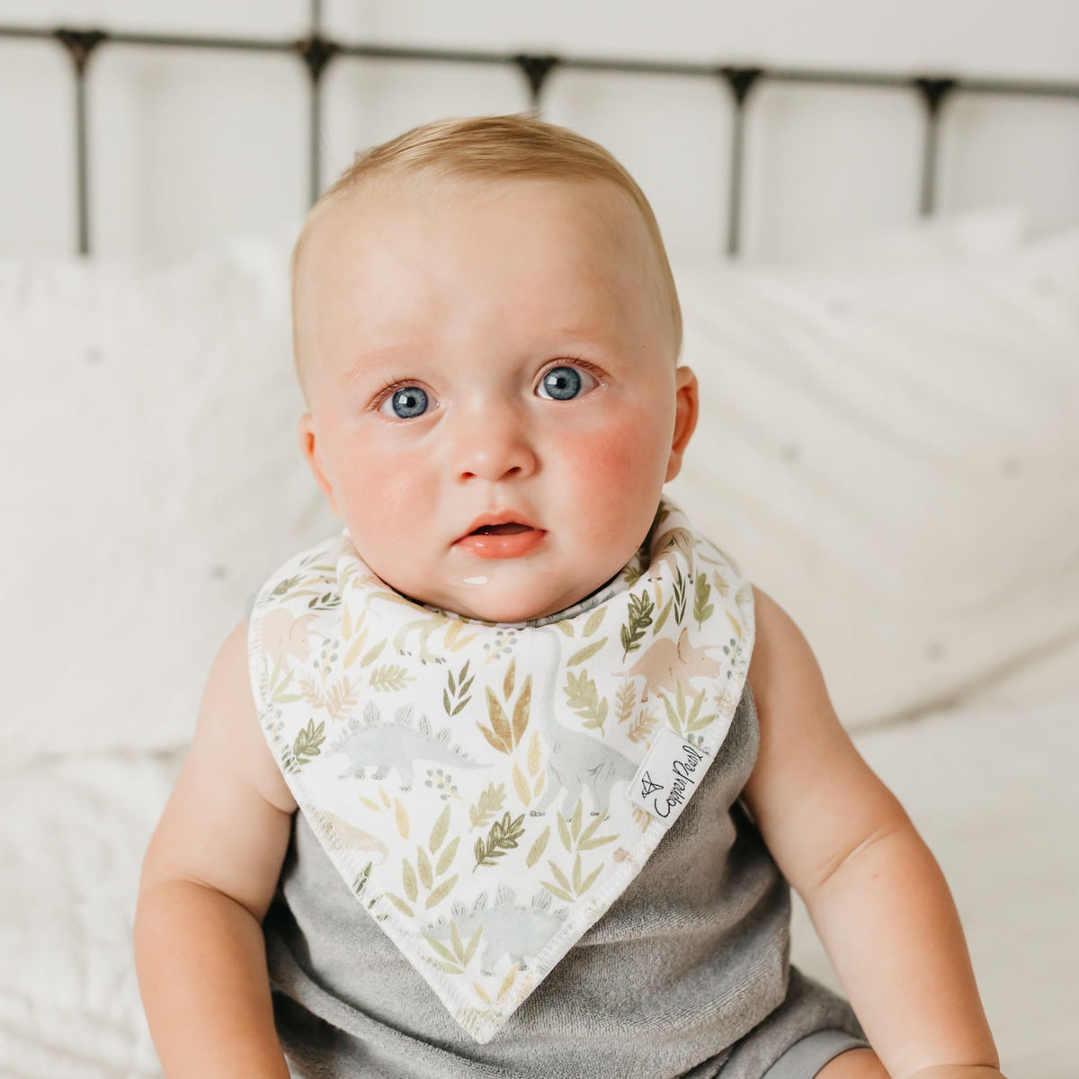 Baby Bandana Bibs - Rex