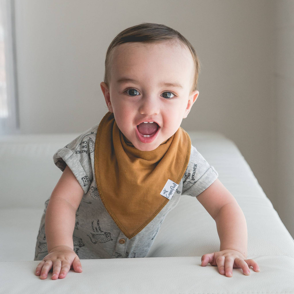 Baby Bandana Bibs - Ridge