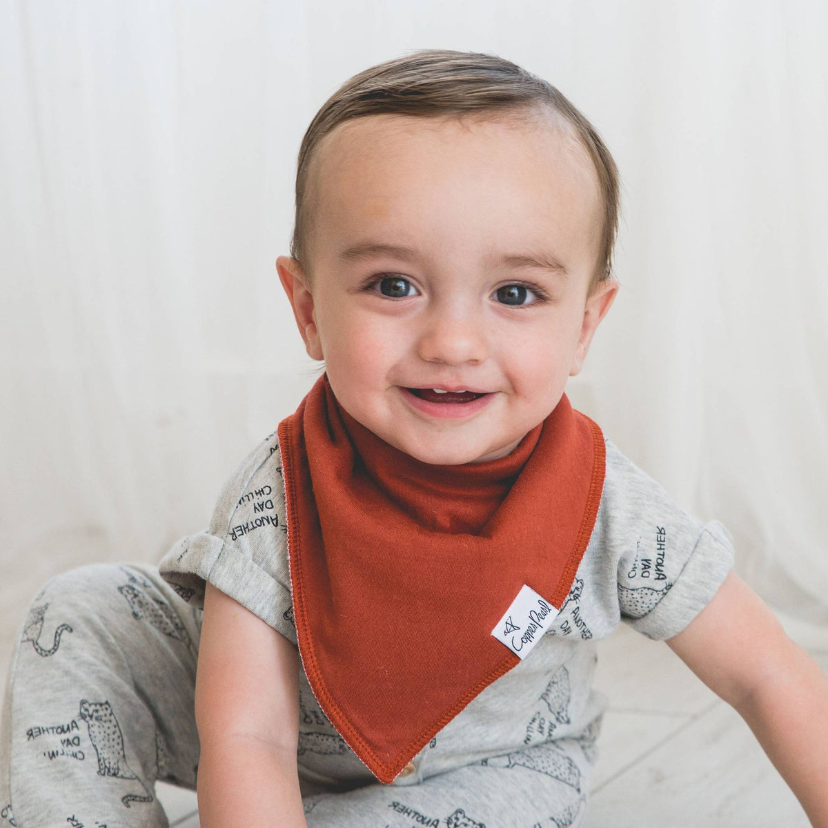 Baby Bandana Bibs - Ridge