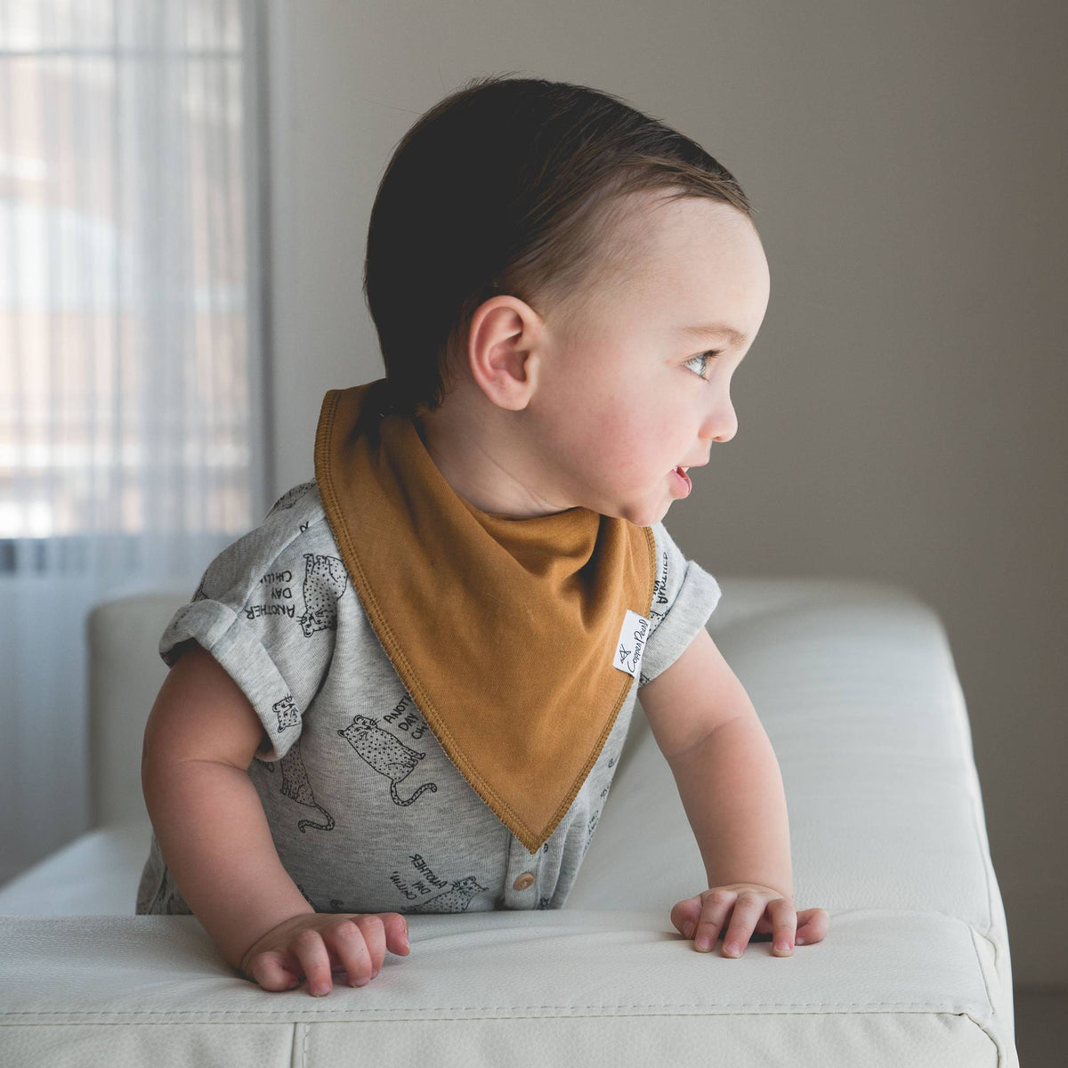 Baby Bandana Bibs - Ridge