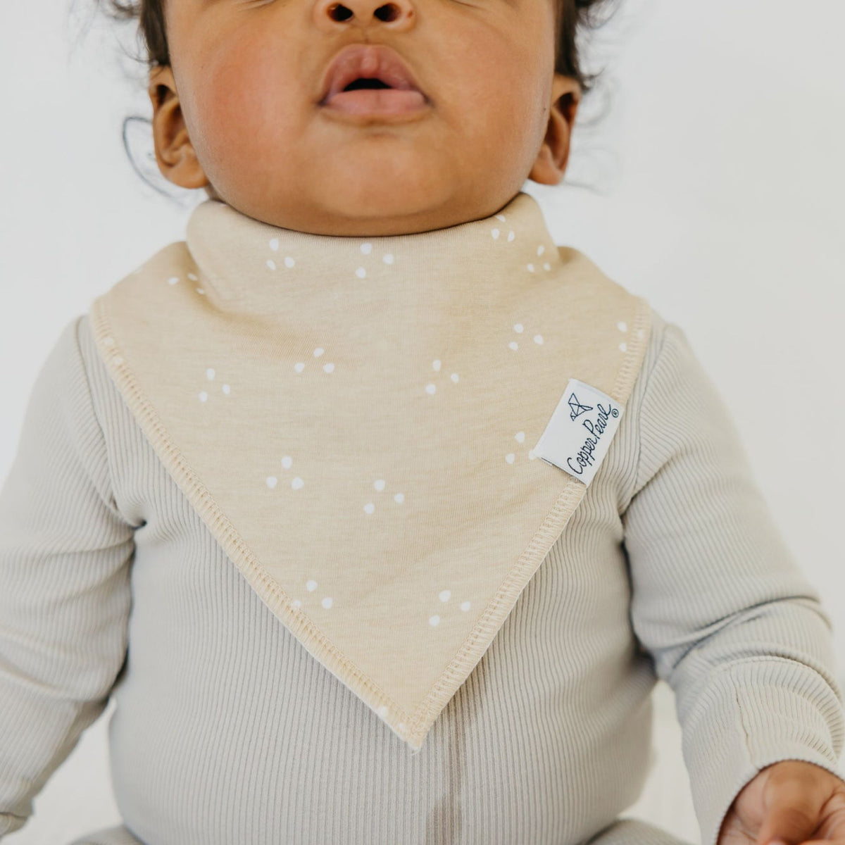 Baby Bandana Bibs - Santa Fe