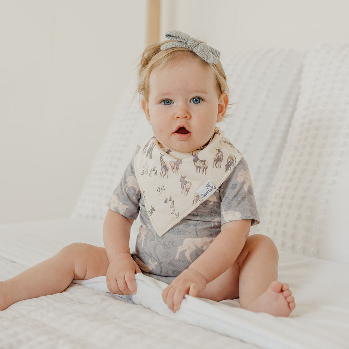 Baby Bandana Bibs - Timber