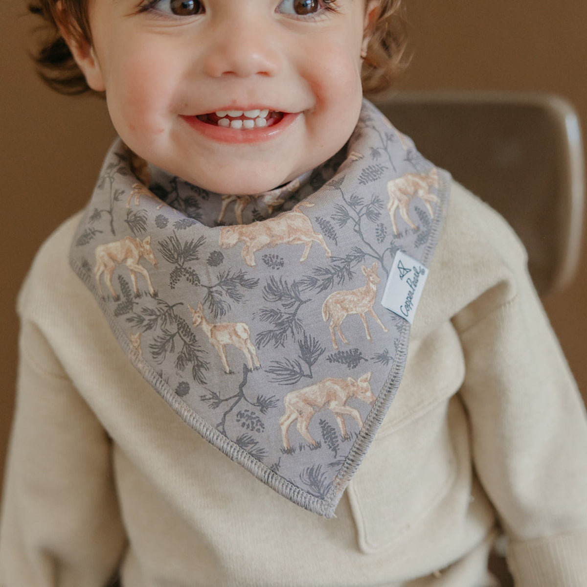 Baby Bandana Bibs - Timber