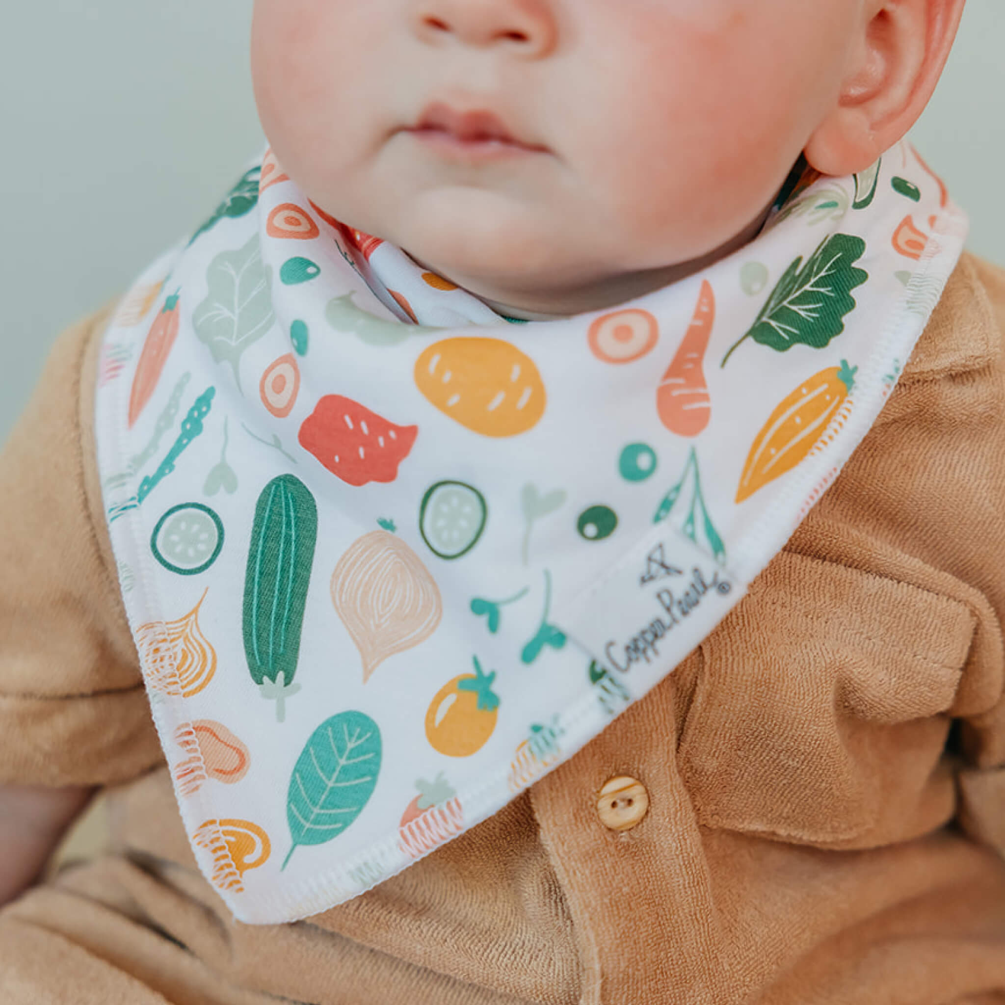 Baby Bandana Bibs - Veggies