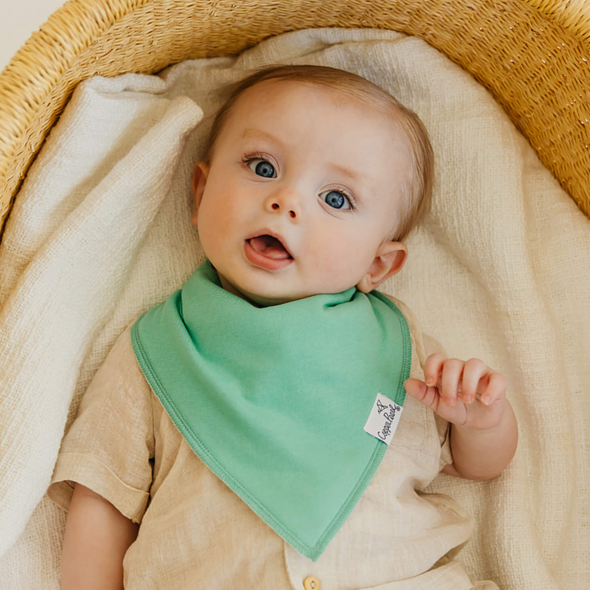 Baby Bandana Bibs - Veggies