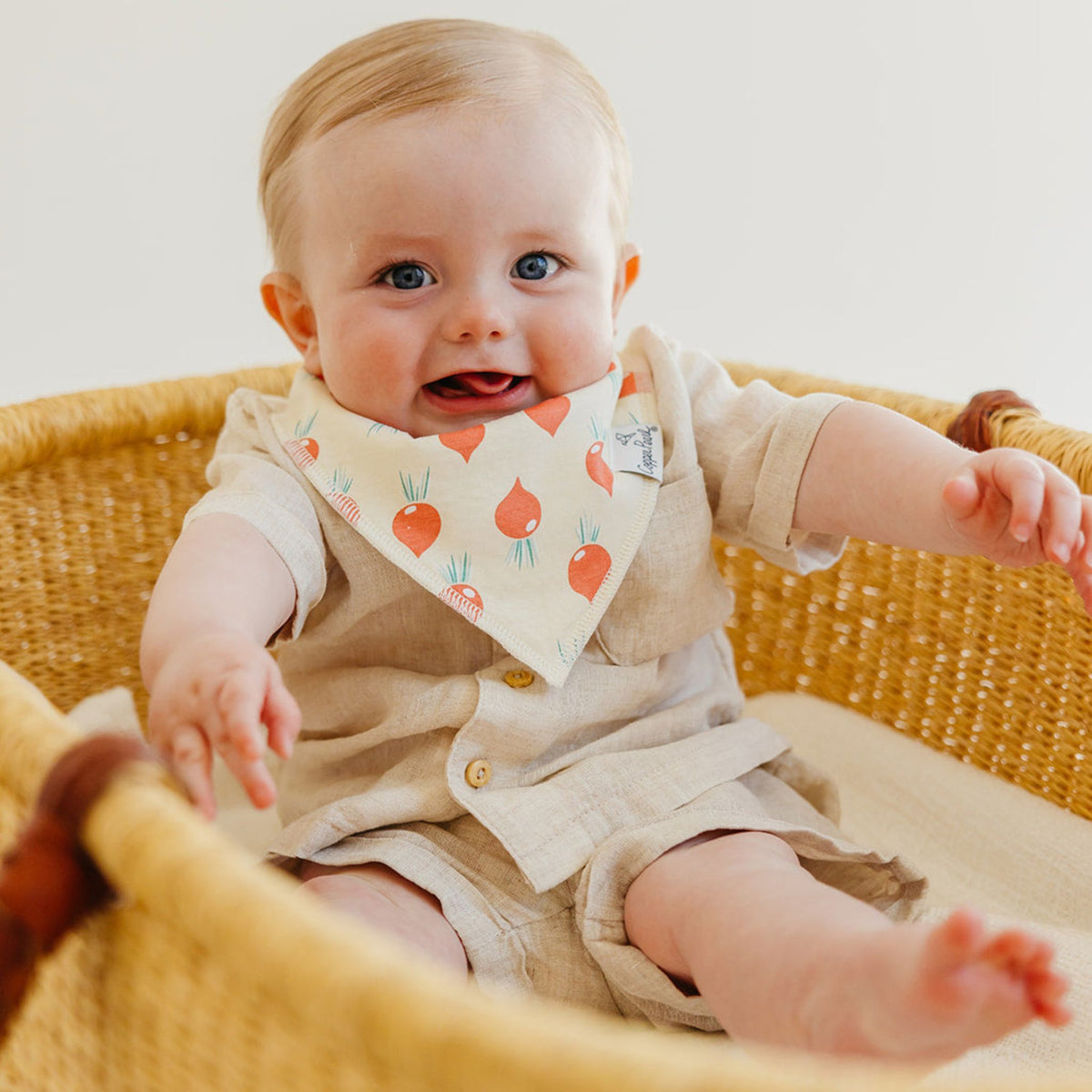 Baby Bandana Bibs - Veggies