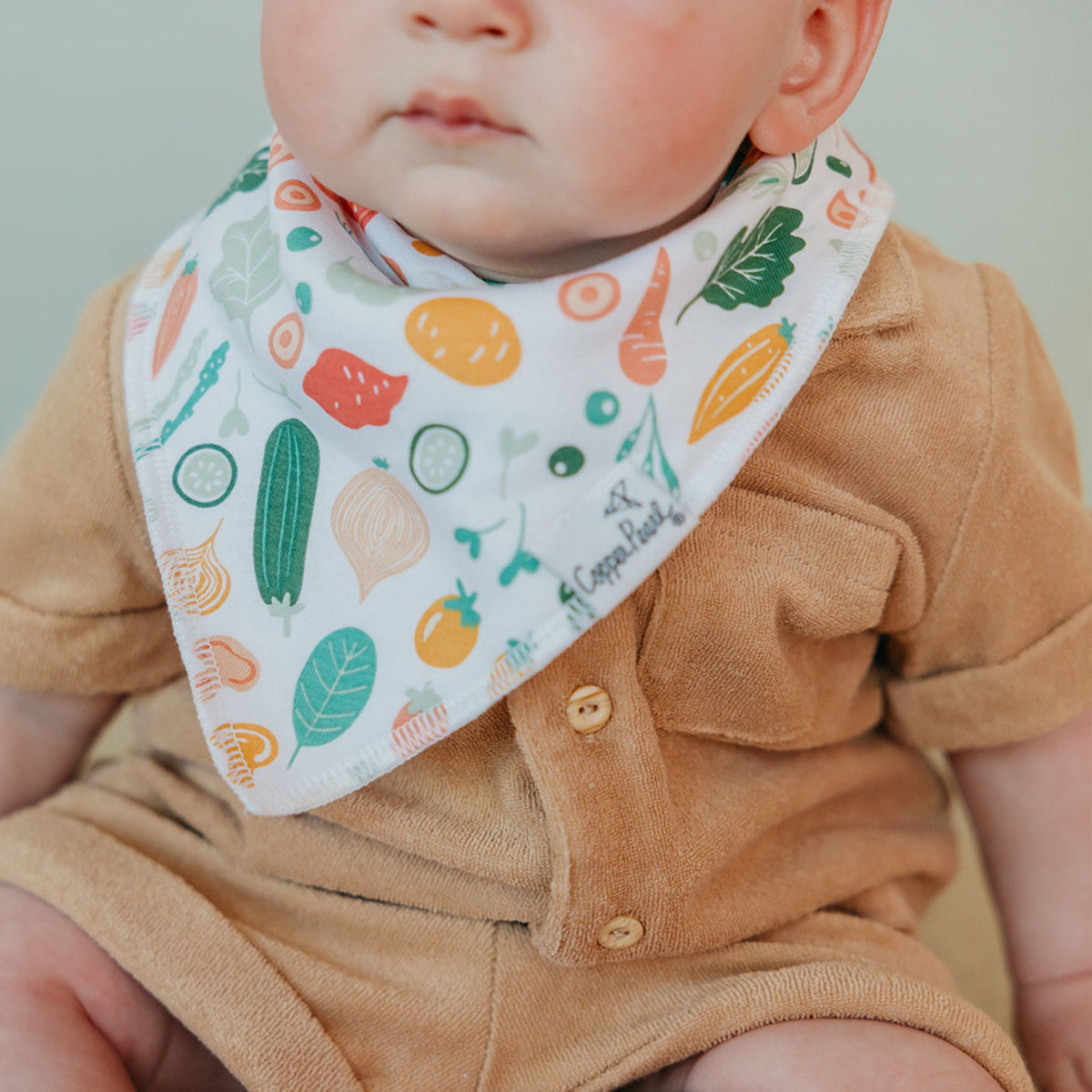 Baby Bandana Bibs - Veggies