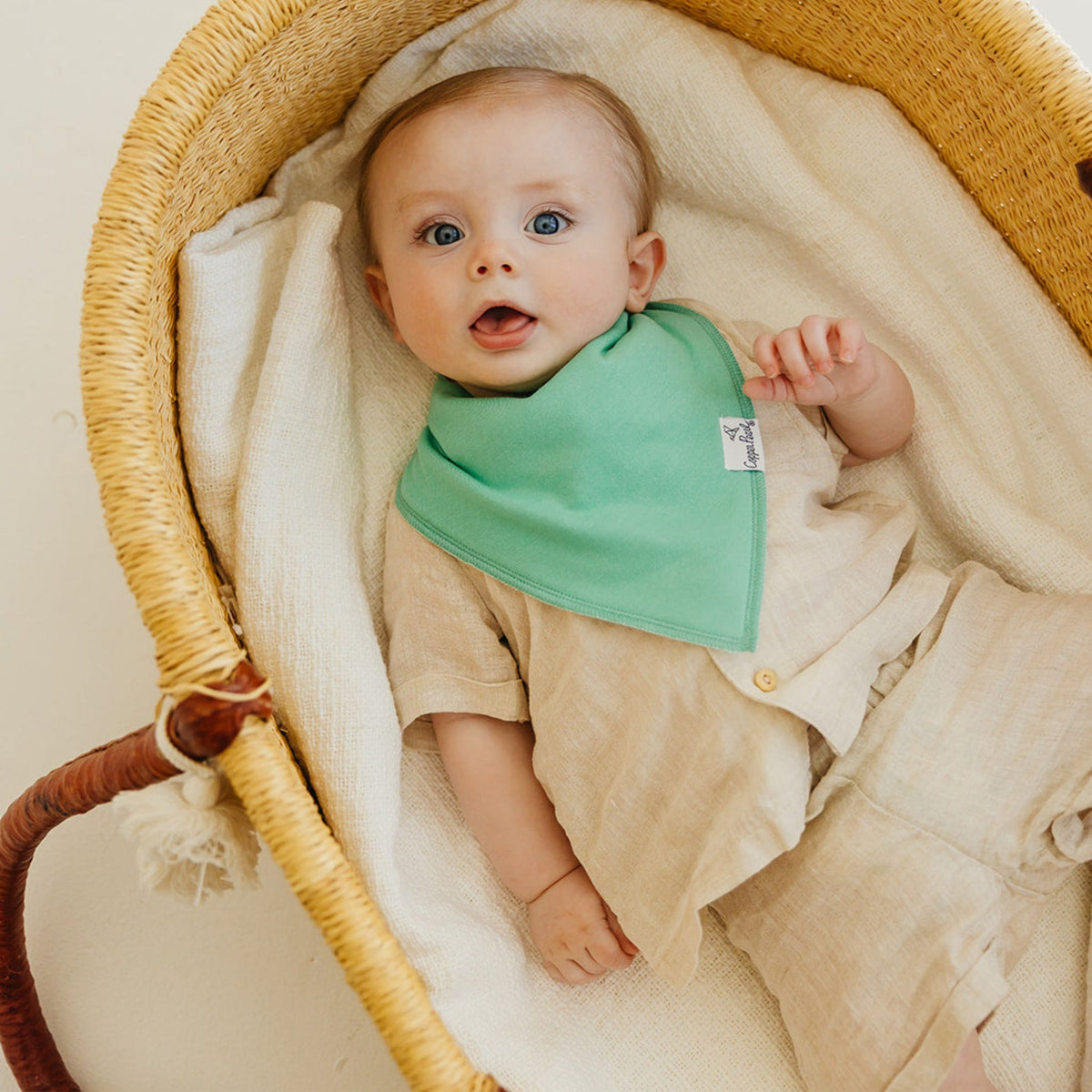 Baby Bandana Bibs - Veggies