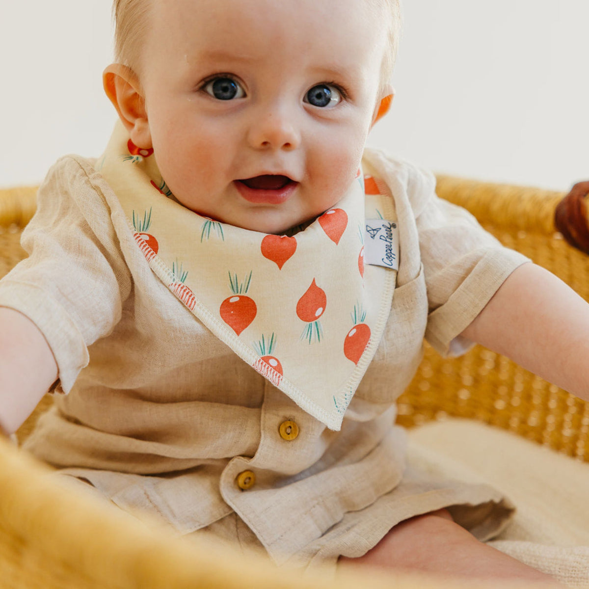 Baby Bandana Bibs - Veggies