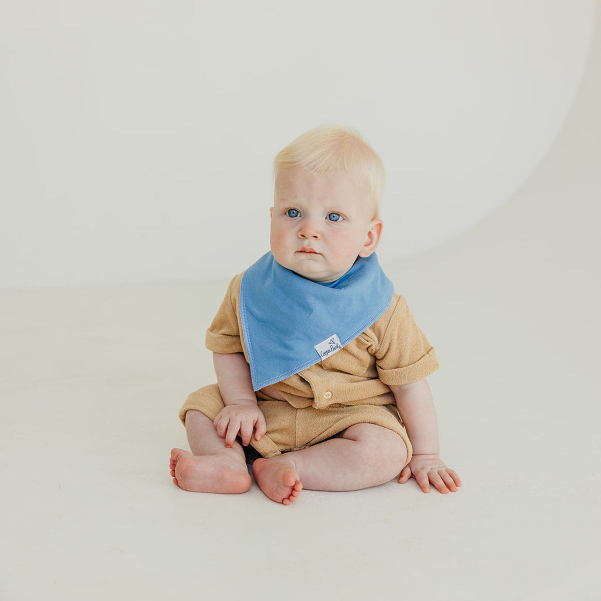 Baby Bandana Bibs - Veggies