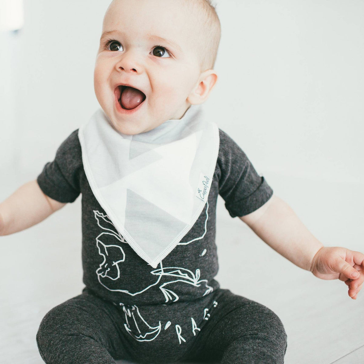 Baby Bandana Bibs - Wild