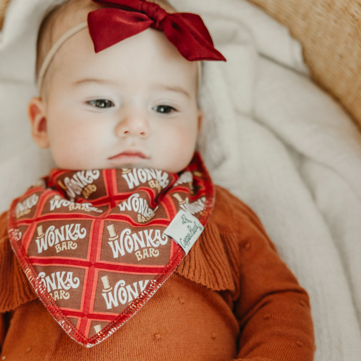 Baby Bandana Bibs - Wonka