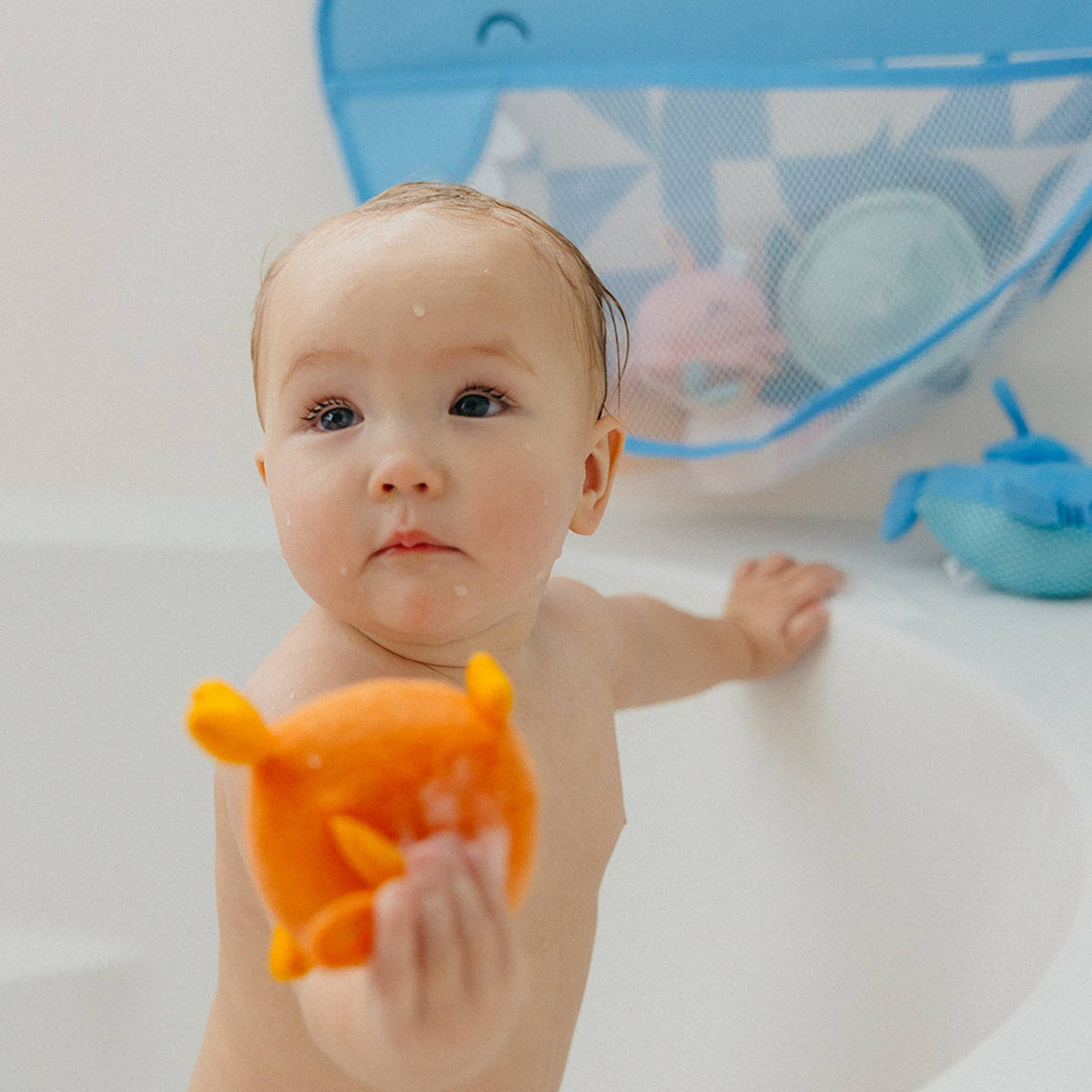 Bath Toy Organizer- Finn