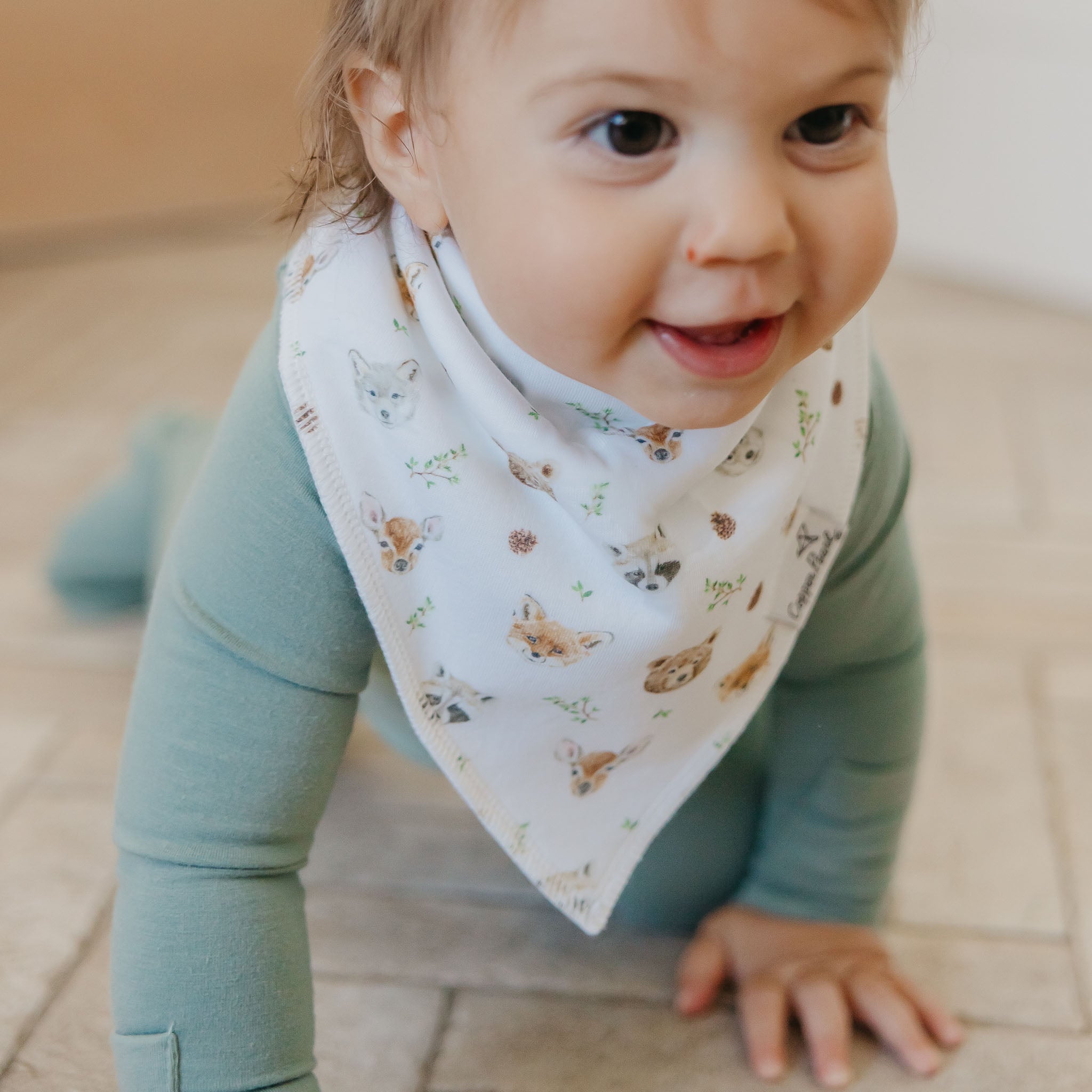 Baby Bandana Bibs - Wilder
