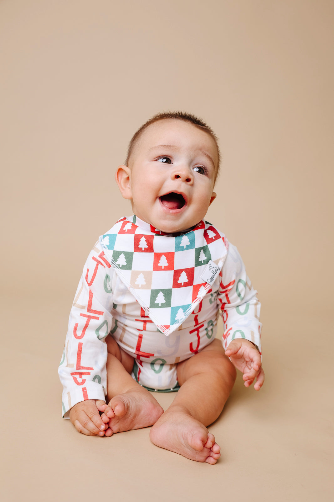 Baby Bandana Bibs - Jolly